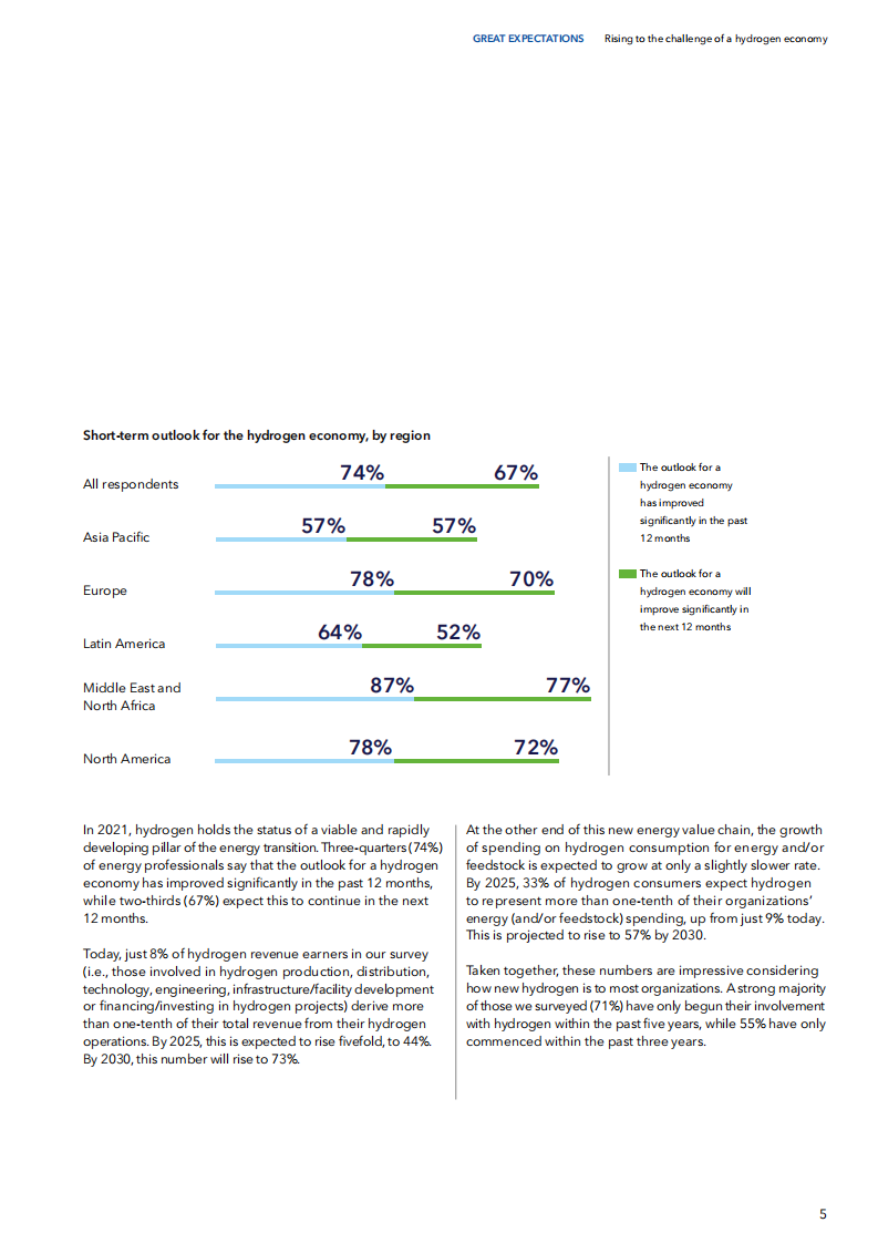迎接氢经济的挑战（英）-DNV.pdf 第5页