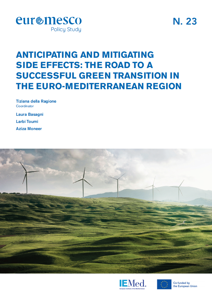 预期和减轻副作用：欧洲-地中海地区绿色转型的成功之路（英）-欧洲地中海研究委员会.pdf 第1页