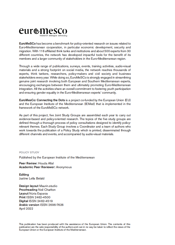 预期和减轻副作用：欧洲-地中海地区绿色转型的成功之路（英）-欧洲地中海研究委员会.pdf 第4页