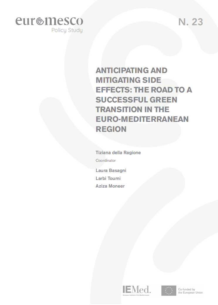预期和减轻副作用：欧洲-地中海地区绿色转型的成功之路（英）-欧洲地中海研究委员会.pdf 第3页