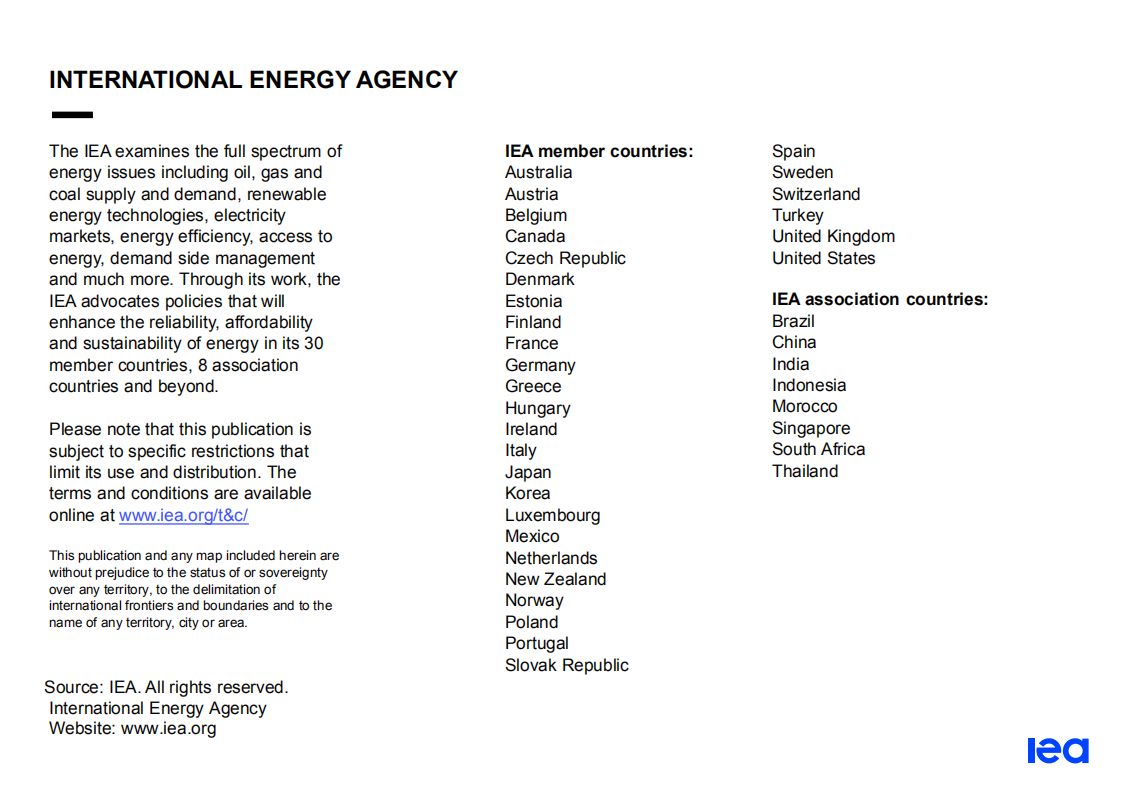 原文：《关键矿产资源在清洁能源转型中的作用》.pdf 第2页