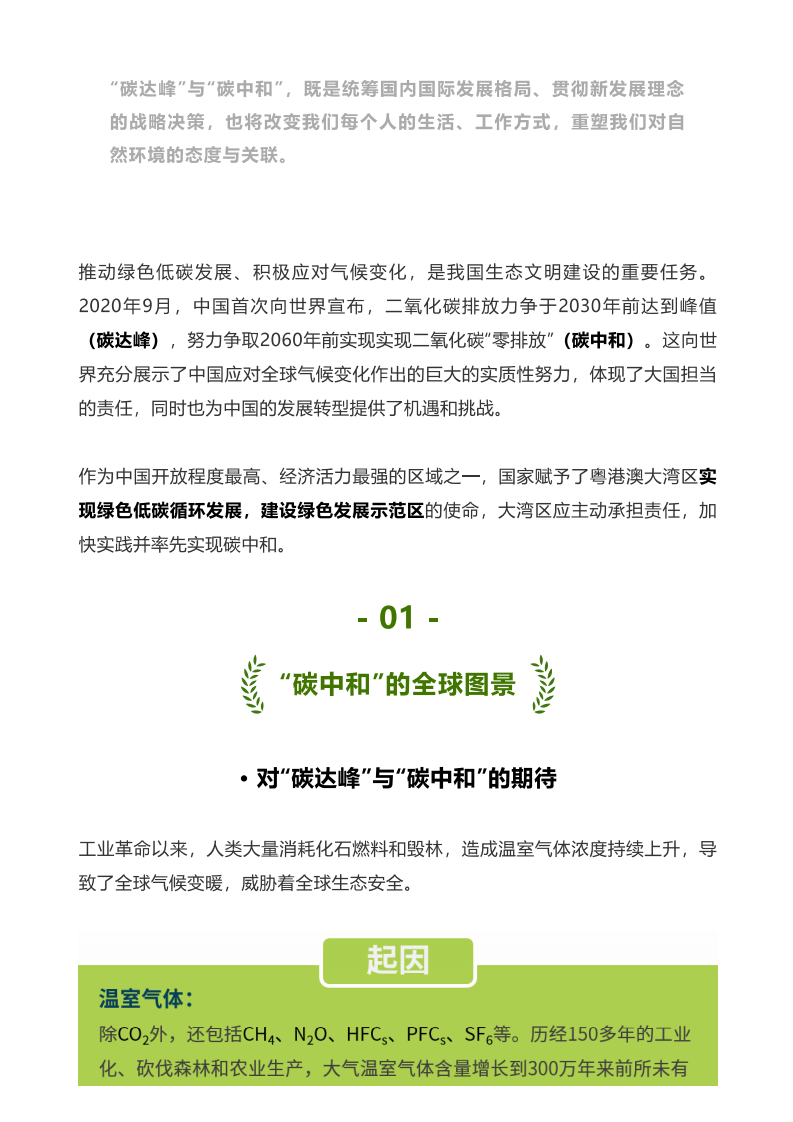 粤港澳大湾区：率先实现“碳中和”！.pdf 第2页