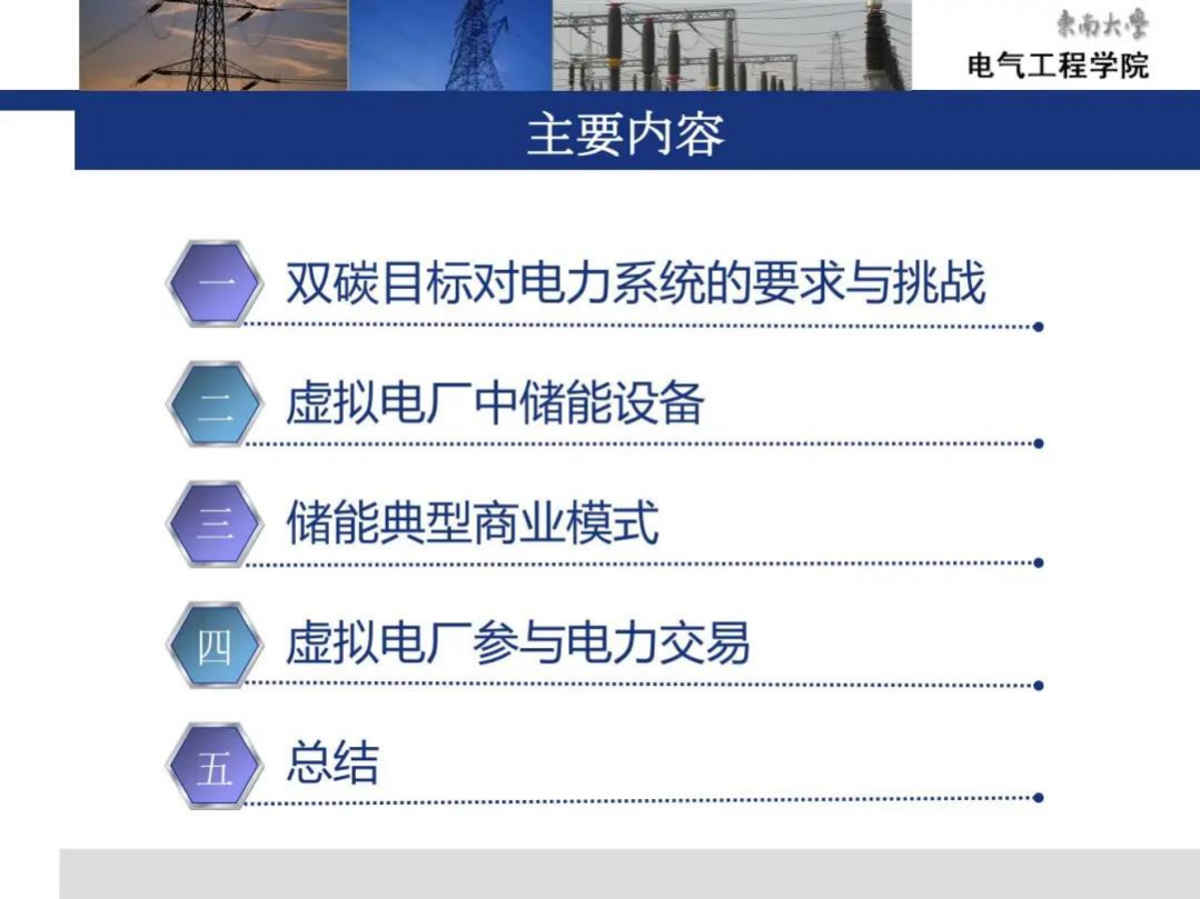 PPT丨储能和虚拟电厂-李扬.pdf 第2页