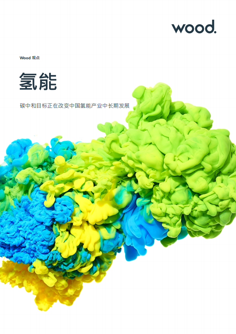 Wood观点-氢能：碳中和目标正在改变中国氢能产业中长期发展.pdf 第1页