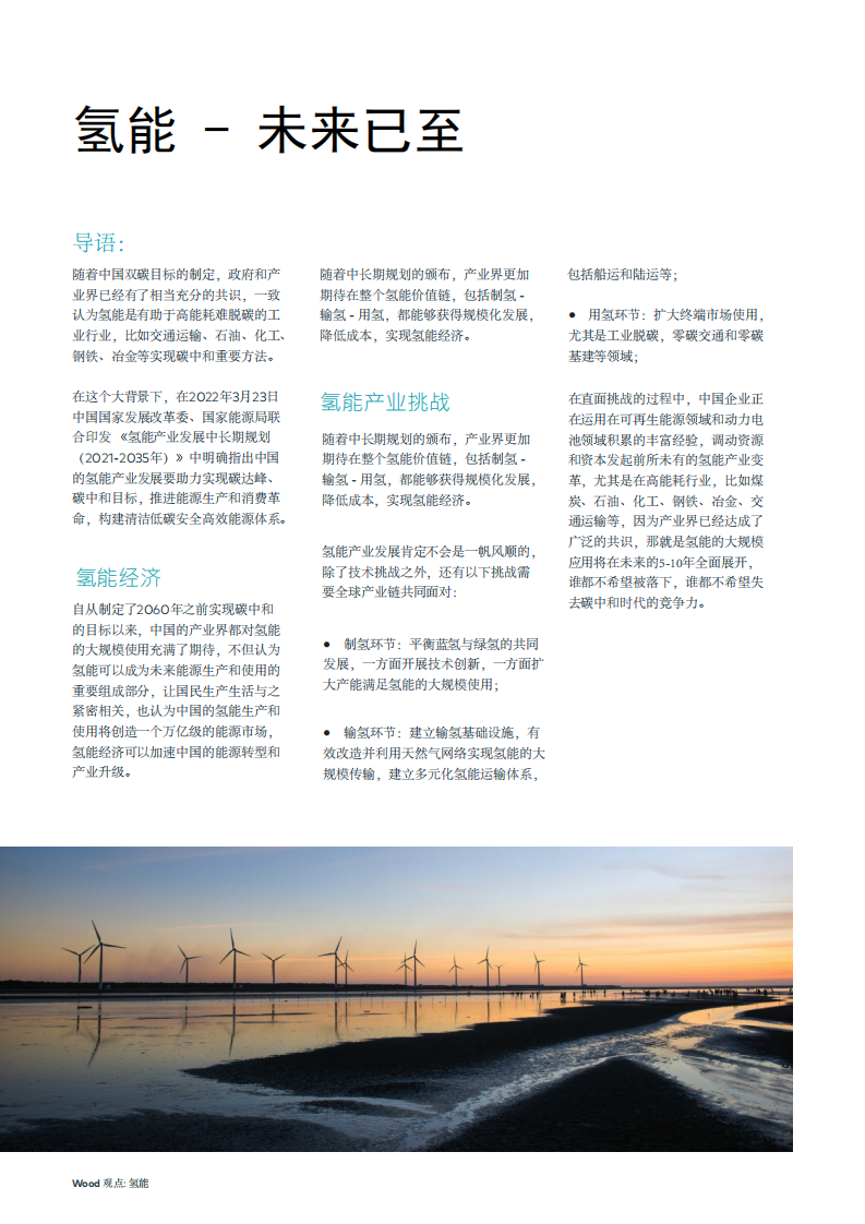 Wood观点-氢能：碳中和目标正在改变中国氢能产业中长期发展.pdf 第2页