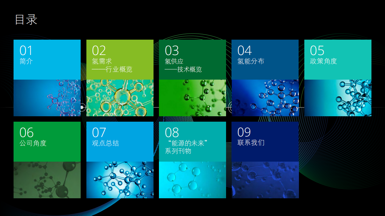 碳中和与氢能未来（为碳中和，创造可行的氢经济-德勤）.pdf 第2页