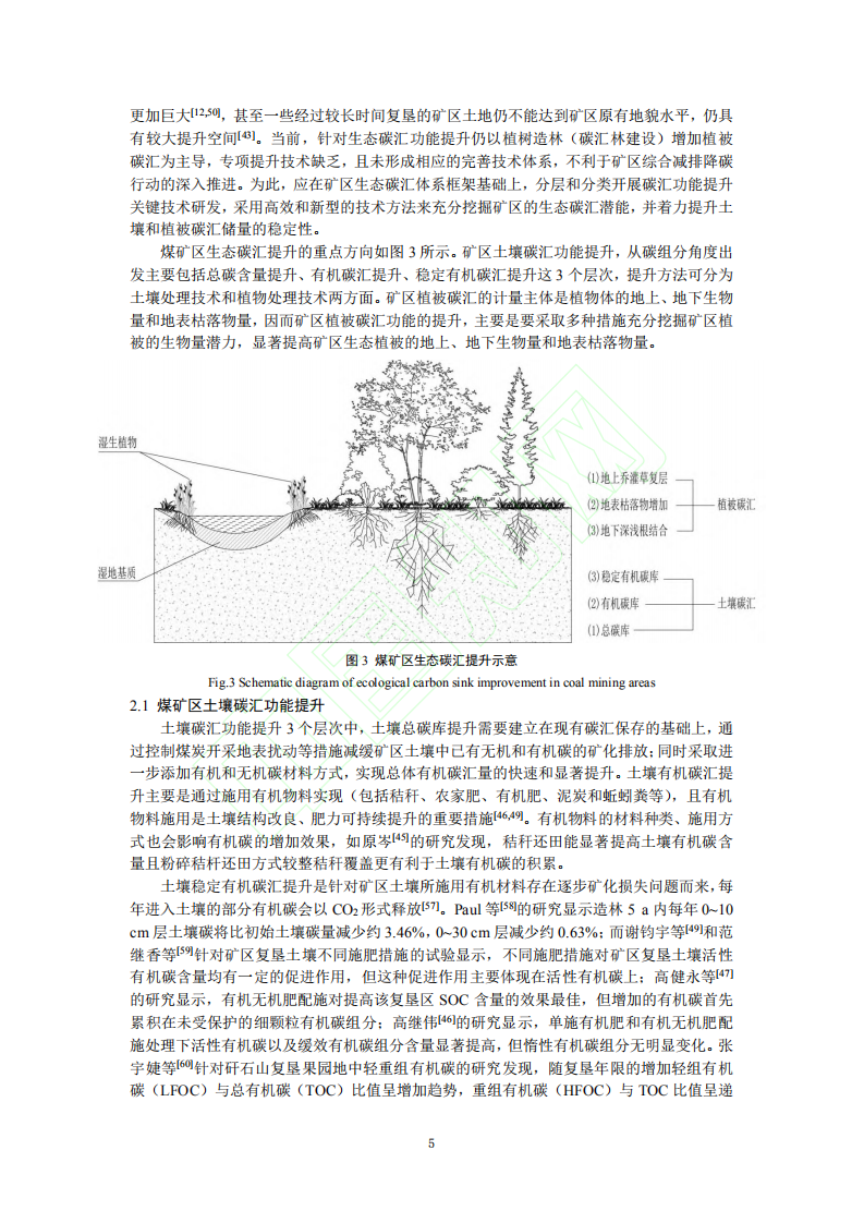 碳中和战略下煤矿区生态碳汇体系构建及功能提升展望.pdf 第6页