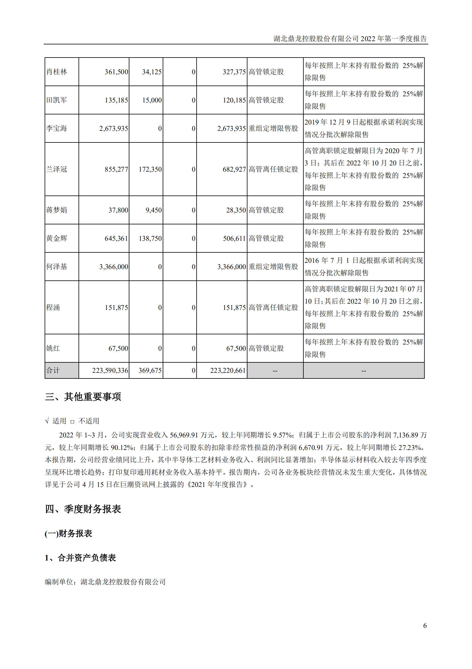 湖北鼎龙控股股份有限公司2022年一季度报告.PDF 第6页