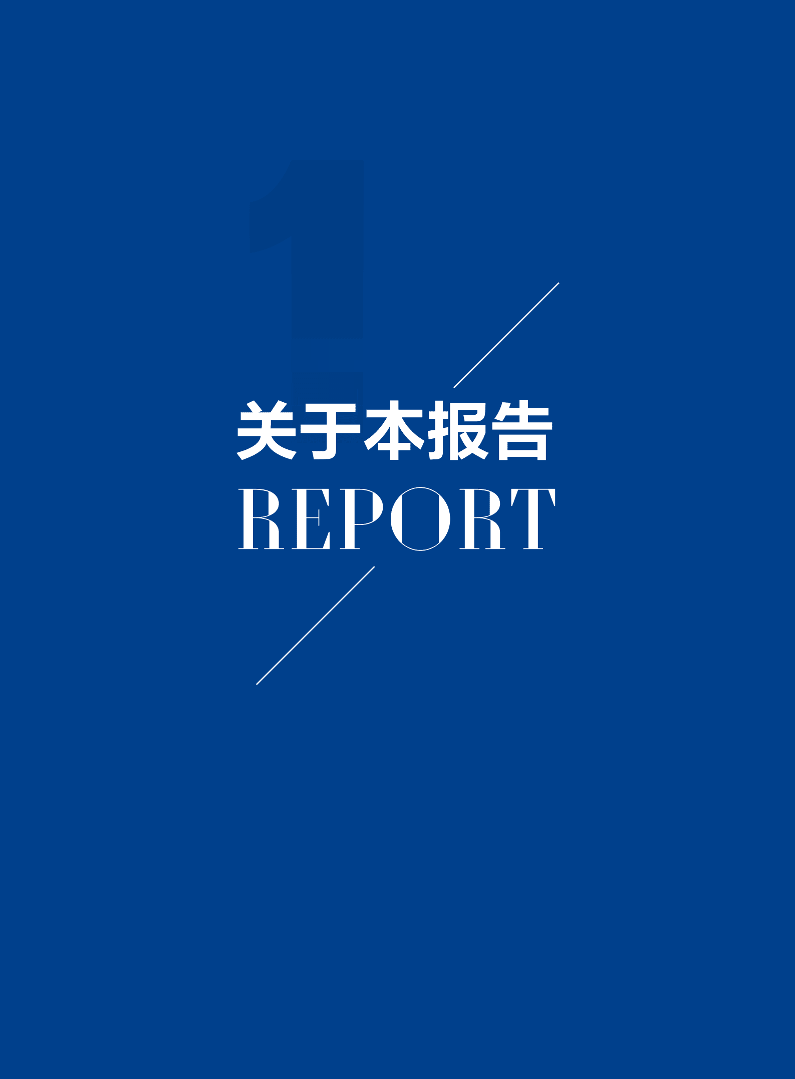 凯撒同盛发展股份有限公司2020年社会责任报告.PDF 第3页