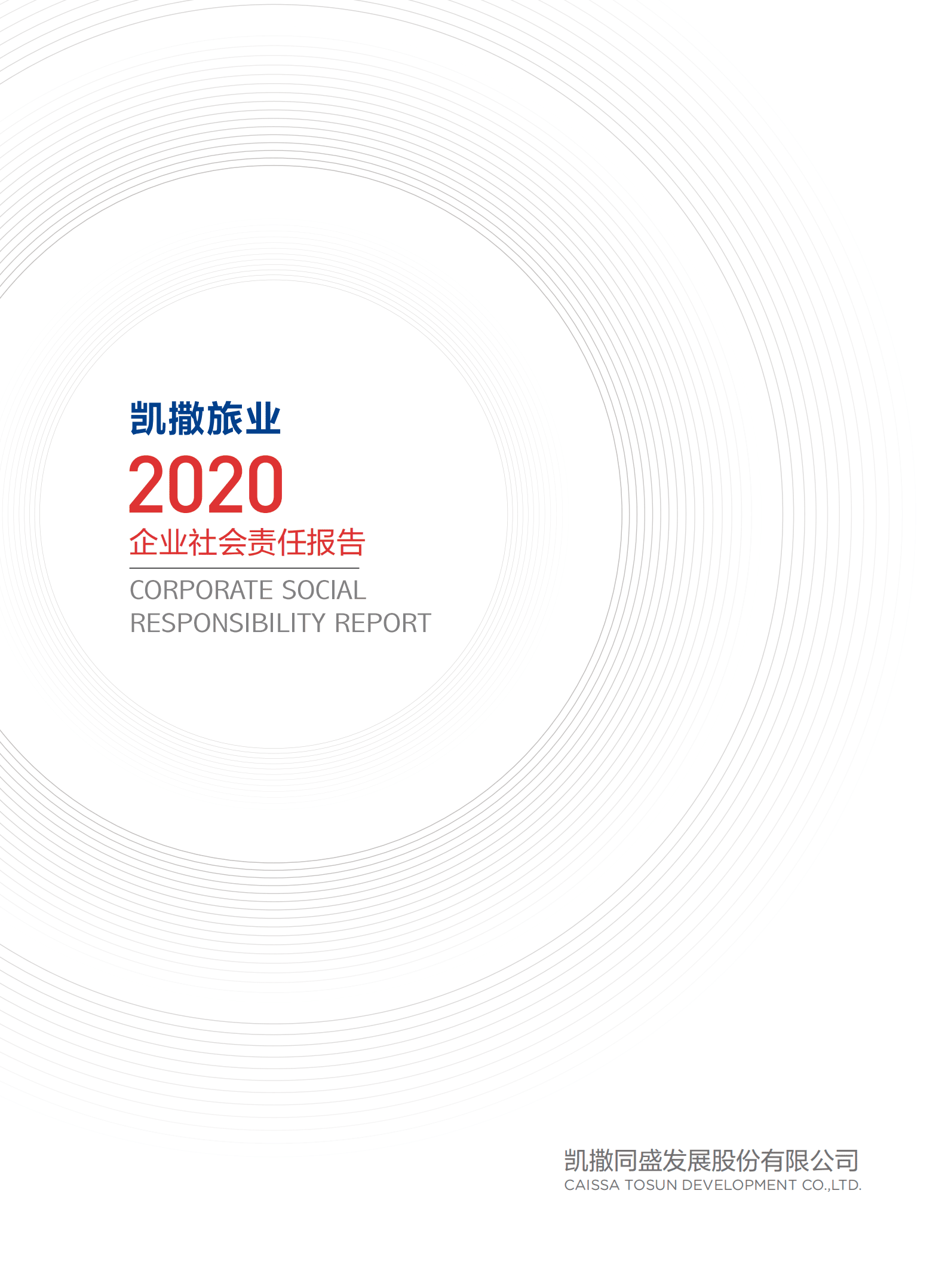 凯撒同盛发展股份有限公司2020年社会责任报告.PDF 第1页