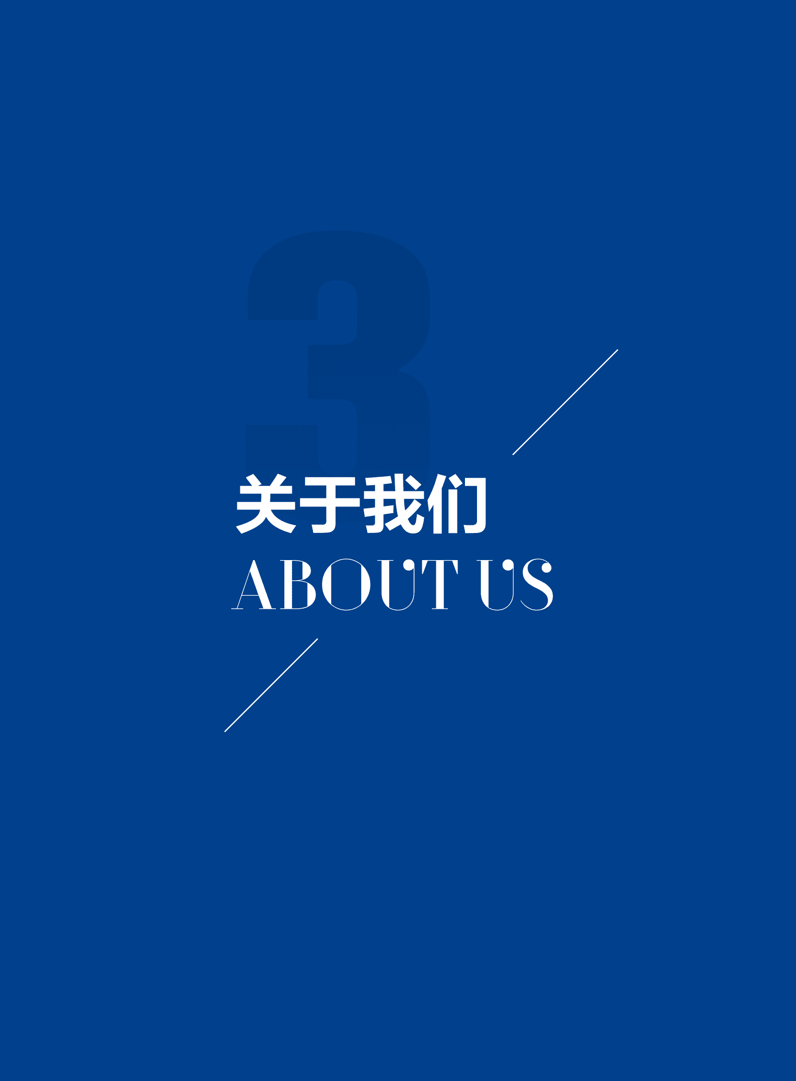 凯撒同盛发展股份有限公司2020年社会责任报告.PDF 第6页