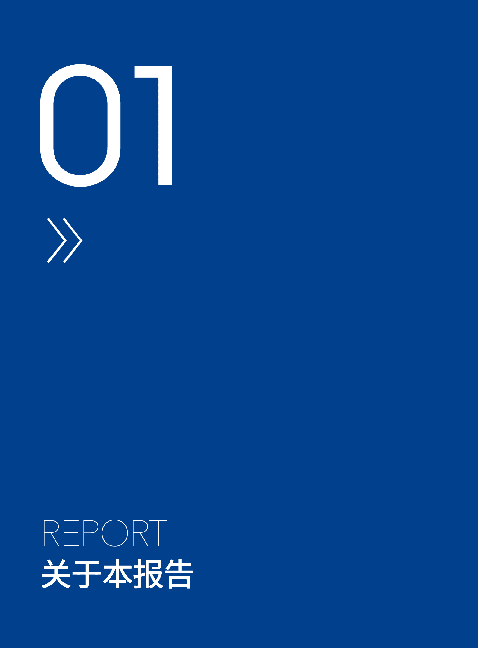 凯撒同盛发展股份有限公司2021年企业社会责任报告.PDF 第3页