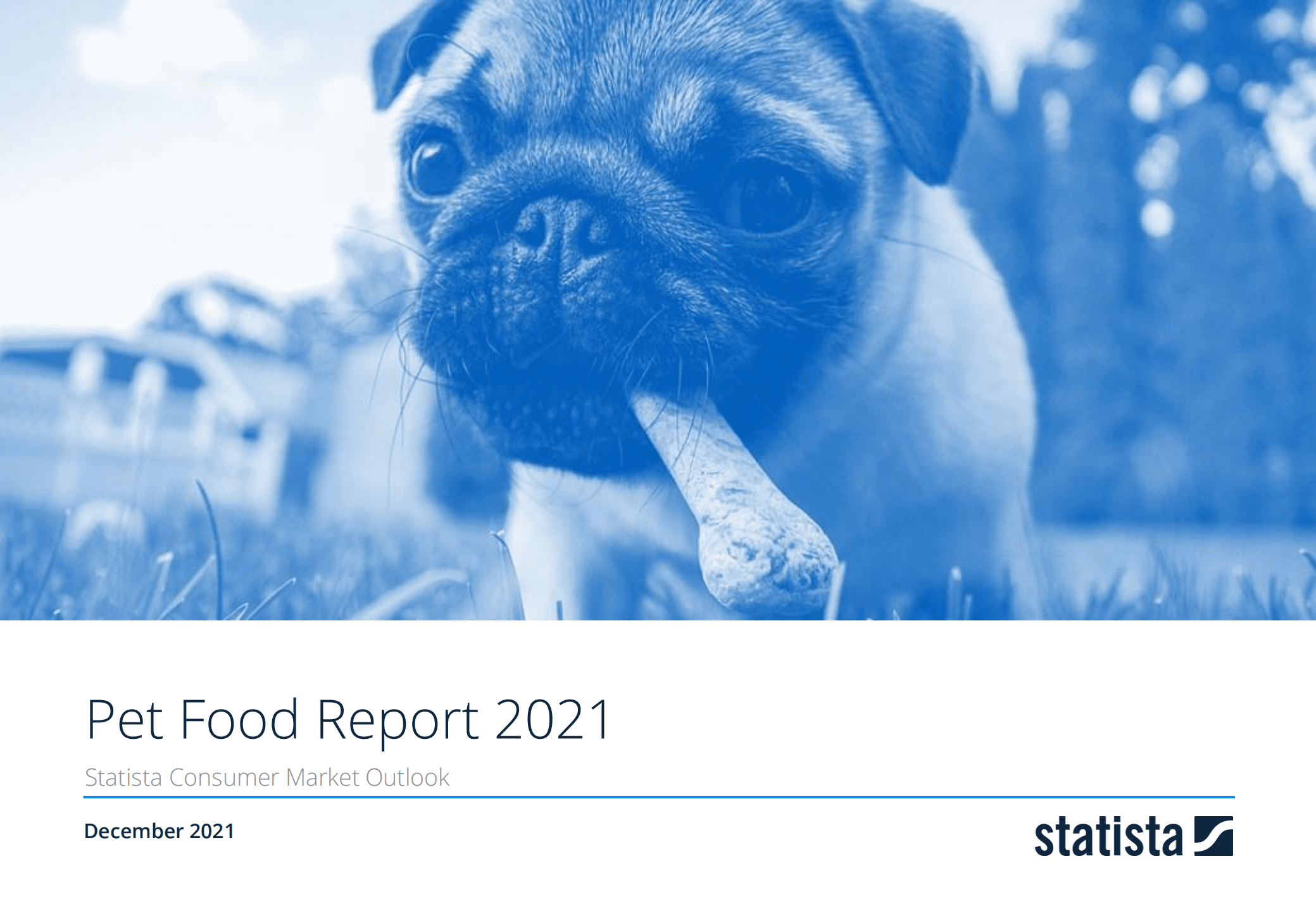 2021年全球宠物食品市场深度洞察及数据分析报告（英文版）.pdf 第1页