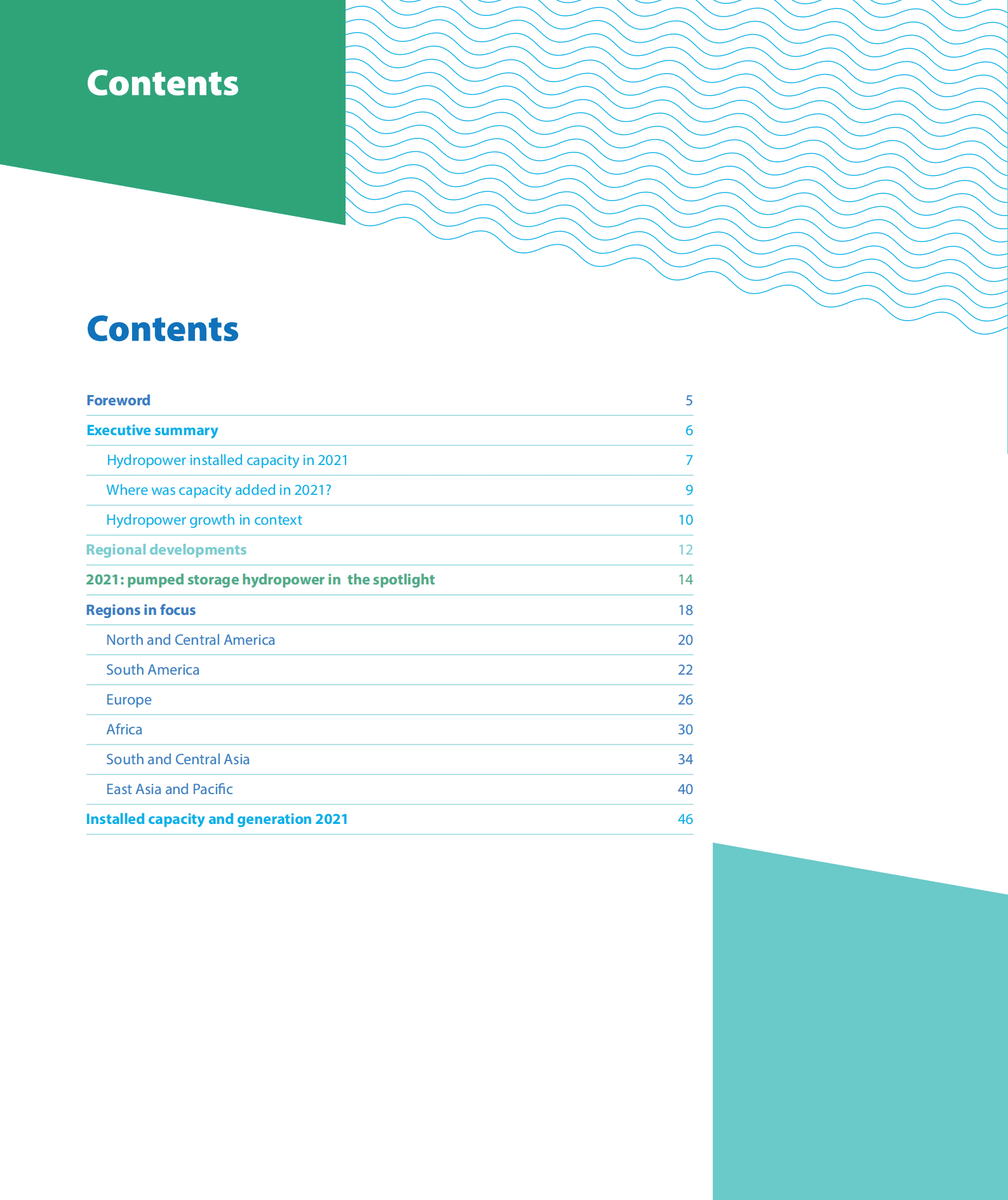 国际水电协会（IHA）：2022年水电状况报告（英文版）.pdf 第2页