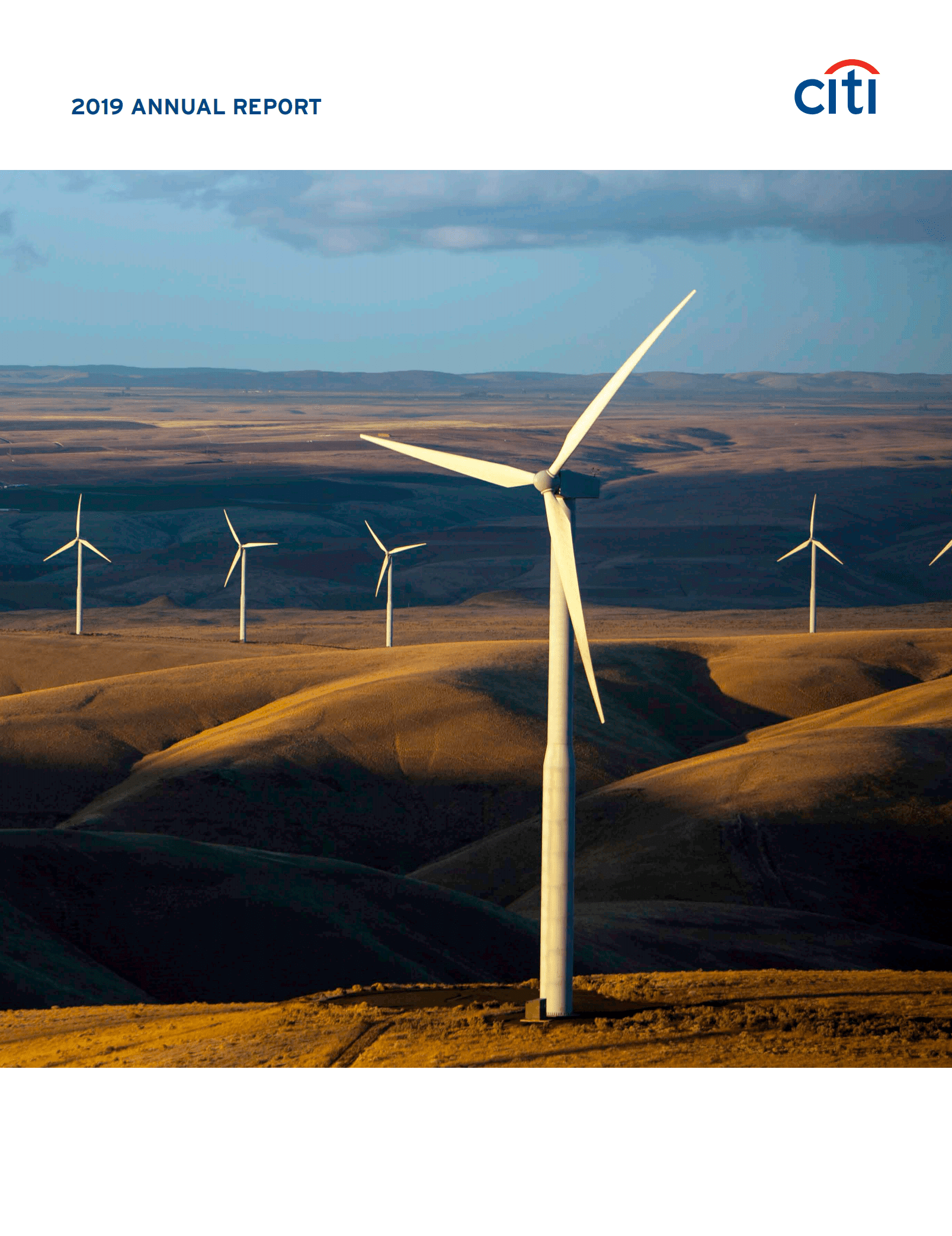 花旗集团（CITIGROUP）2019年年度报告（英文版）.pdf 第1页