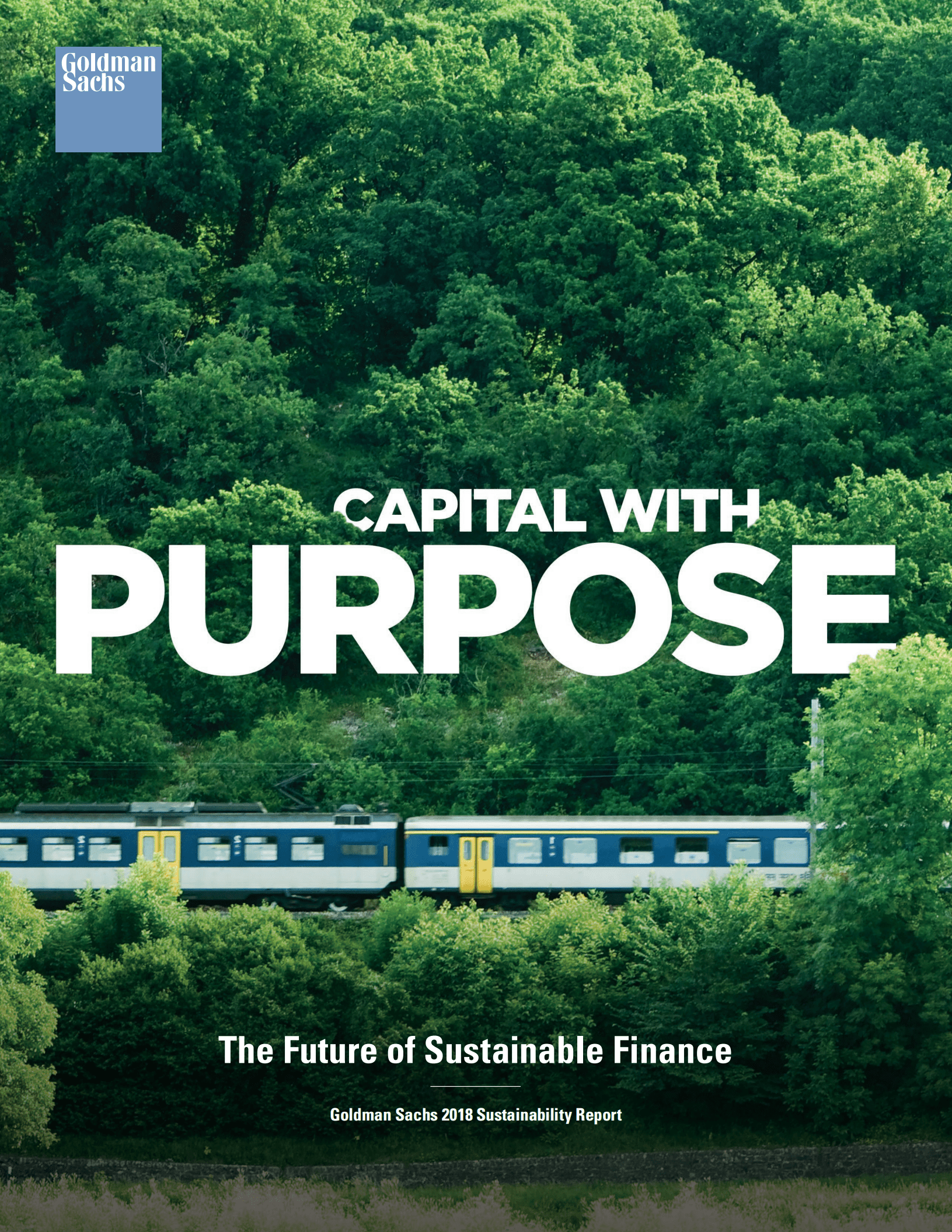高盛（Goldman Sachs）：2018年可持续发展报告（英文版）.pdf 第1页