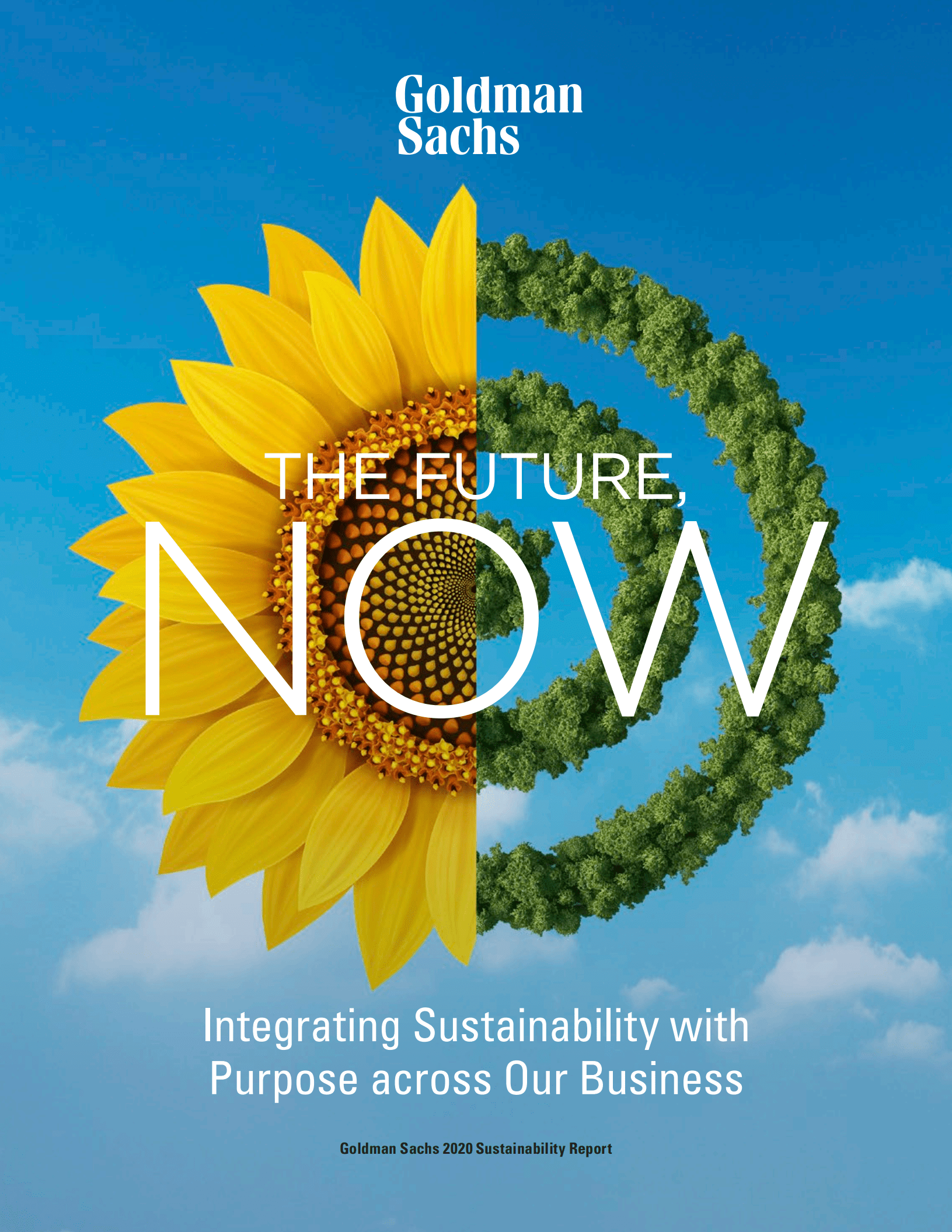 高盛（Goldman Sachs）：2020年可持续发展报告（英文版）.pdf 第1页