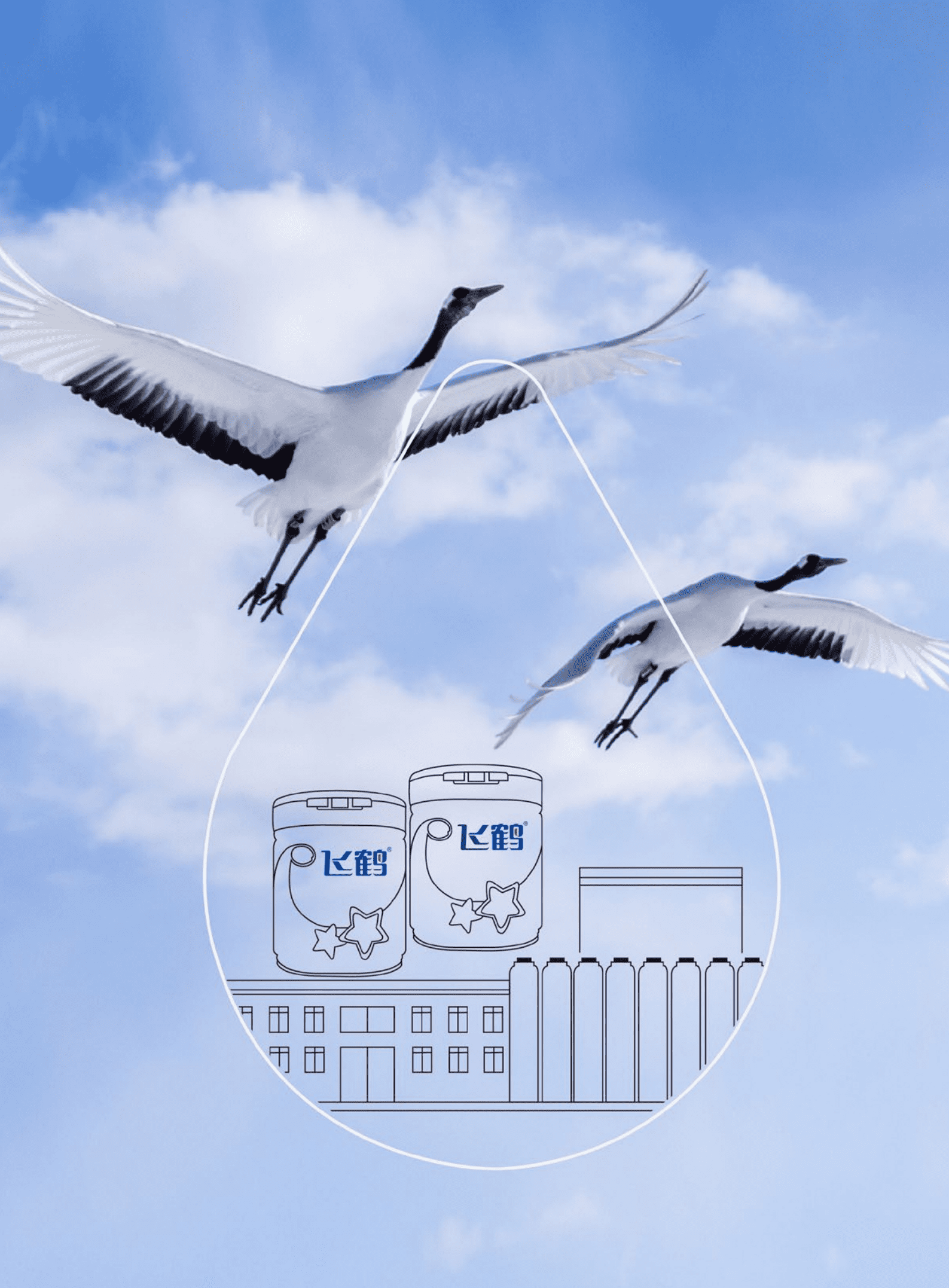 中国飞鹤有限公司2020年环境、社会及管治报告.PDF 第2页