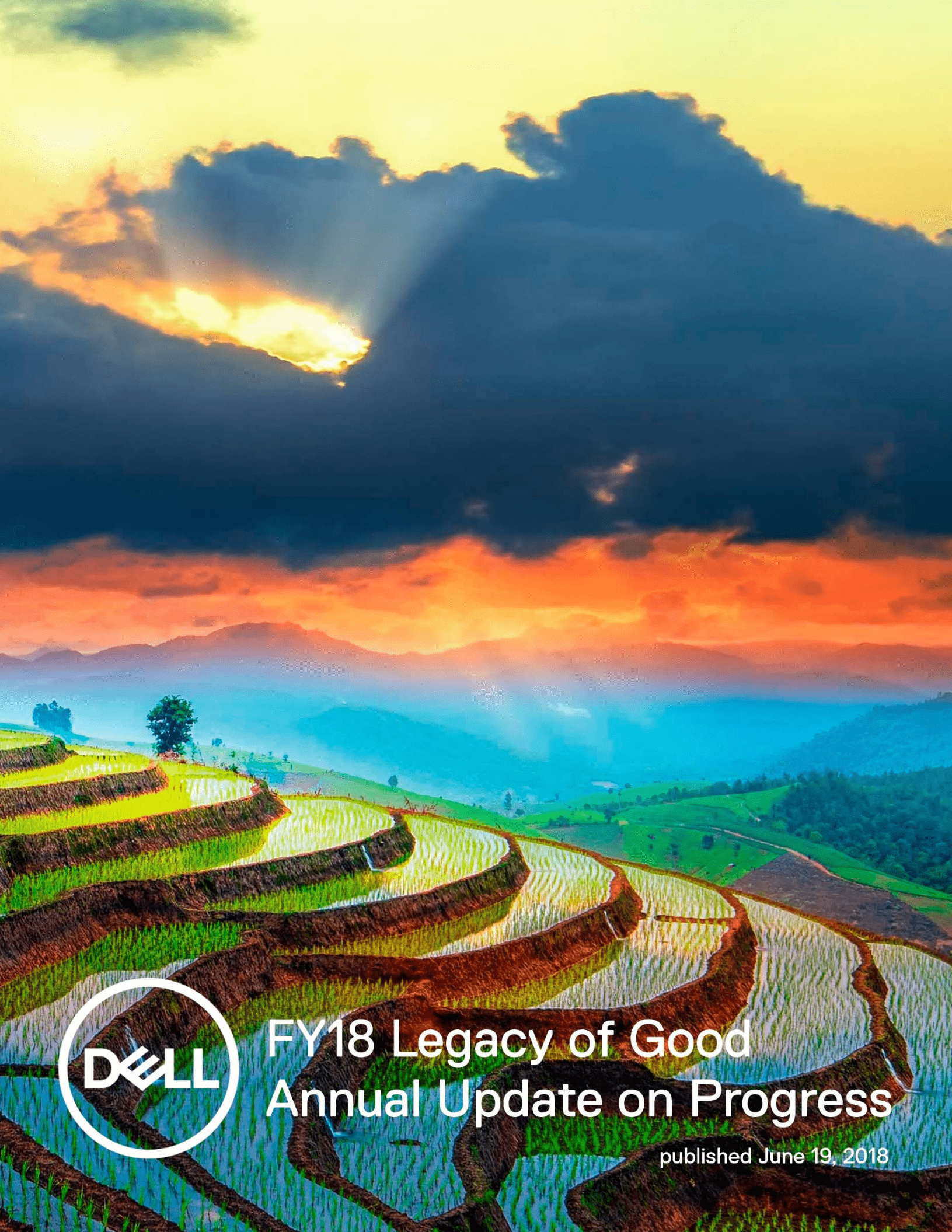 戴尔科技公司（DELL TECHNOLOGIES）2018财年企业社会责任报告（英文版）.pdf 第1页