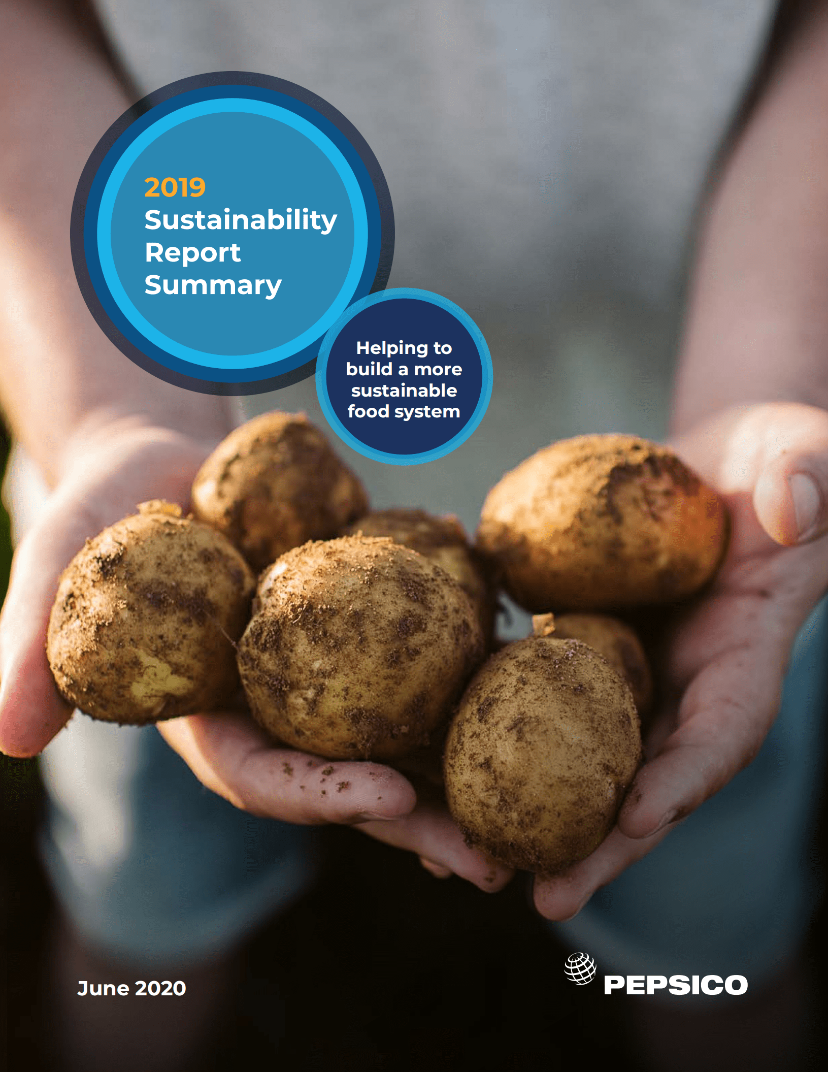 百事公司（PEPSICO）2019年可持续发展报告（英文版）.pdf 第1页