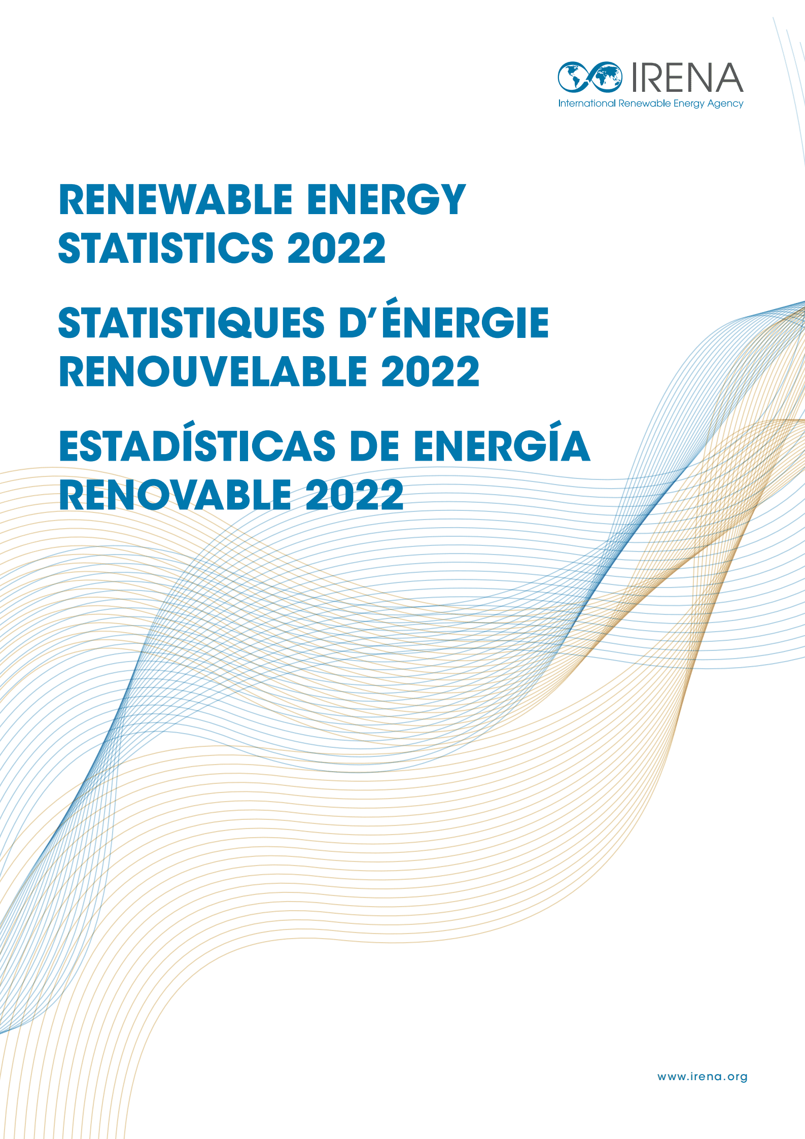 国际可再生能源署（IRENA）：2022年可再生能源统计年鉴（英文版）.pdf 第1页