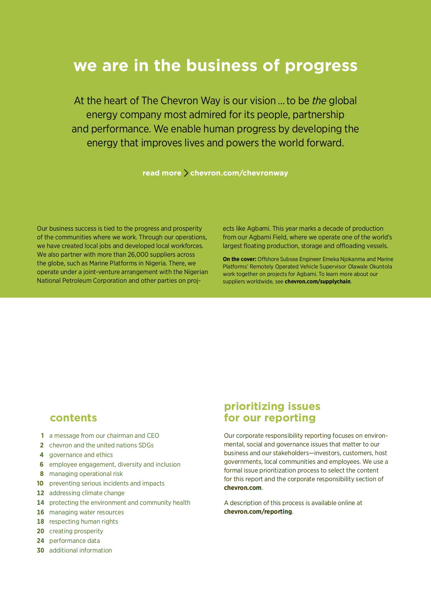 雪佛龙（CHEVRON）2017年企业社会责任报告（英文版）.pdf 第2页