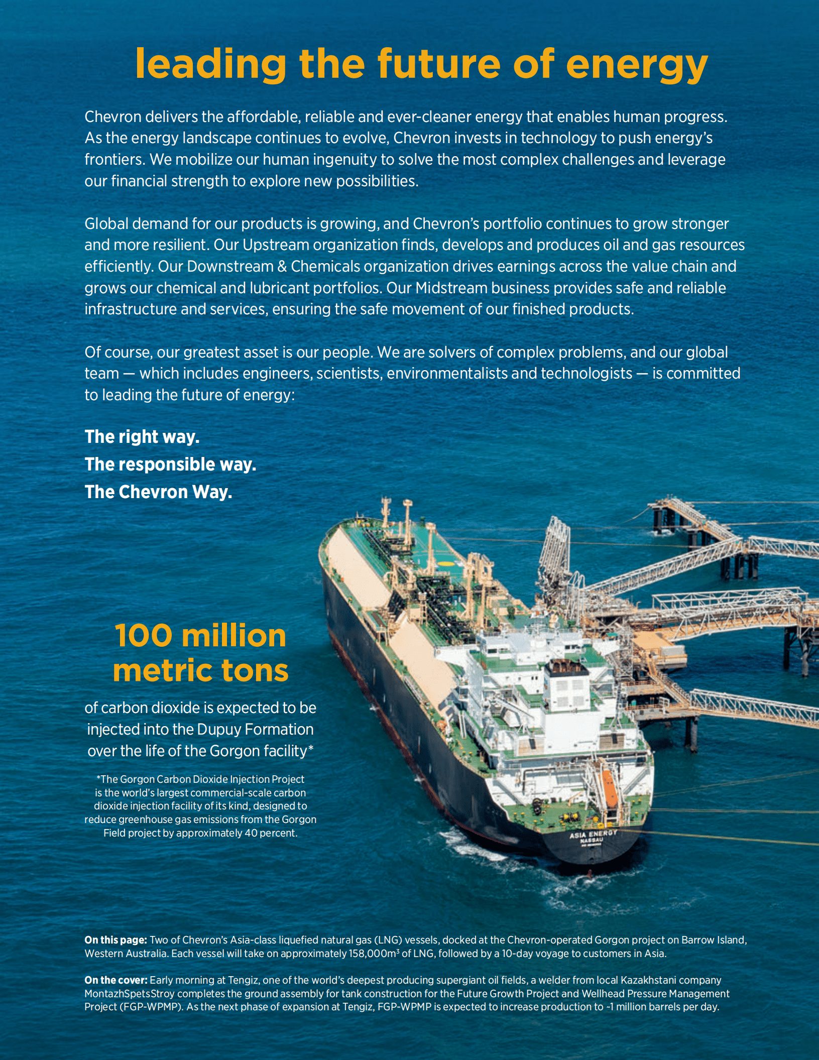 雪佛龙（CHEVRON）2018年年度报告（英文版）.pdf 第2页