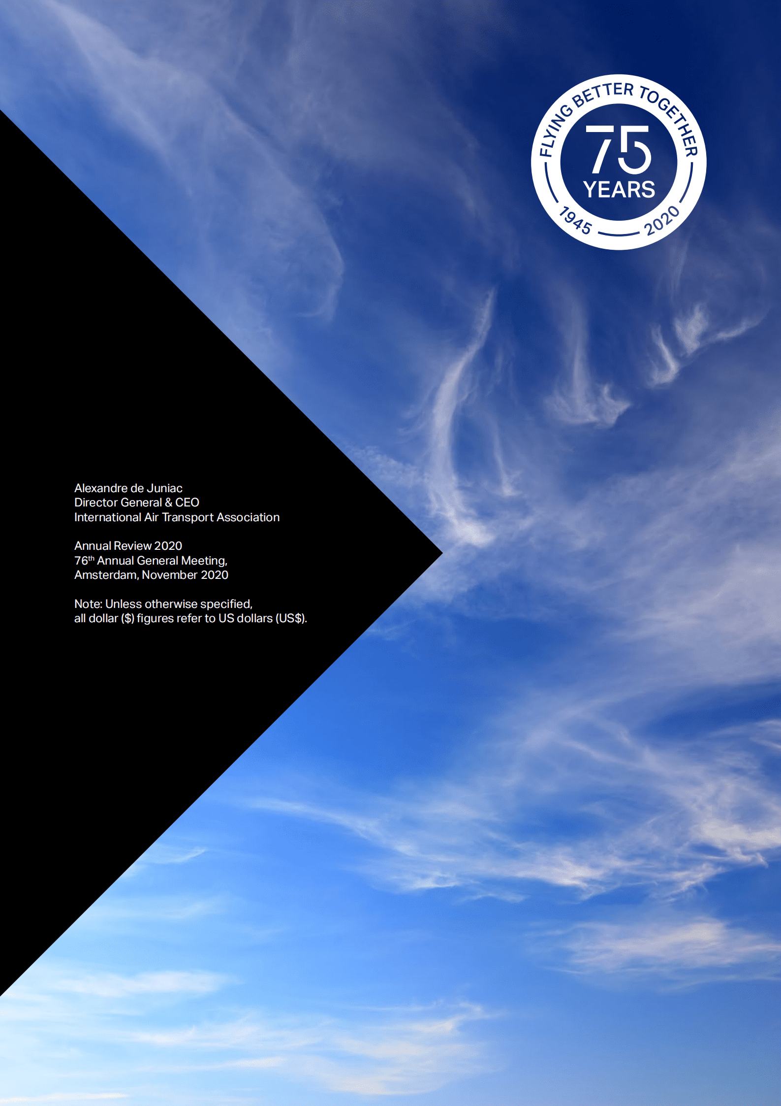 国际航空运输协会（IATA）：2020年全球商业航空运输业年度报告（英文版）.pdf 第2页