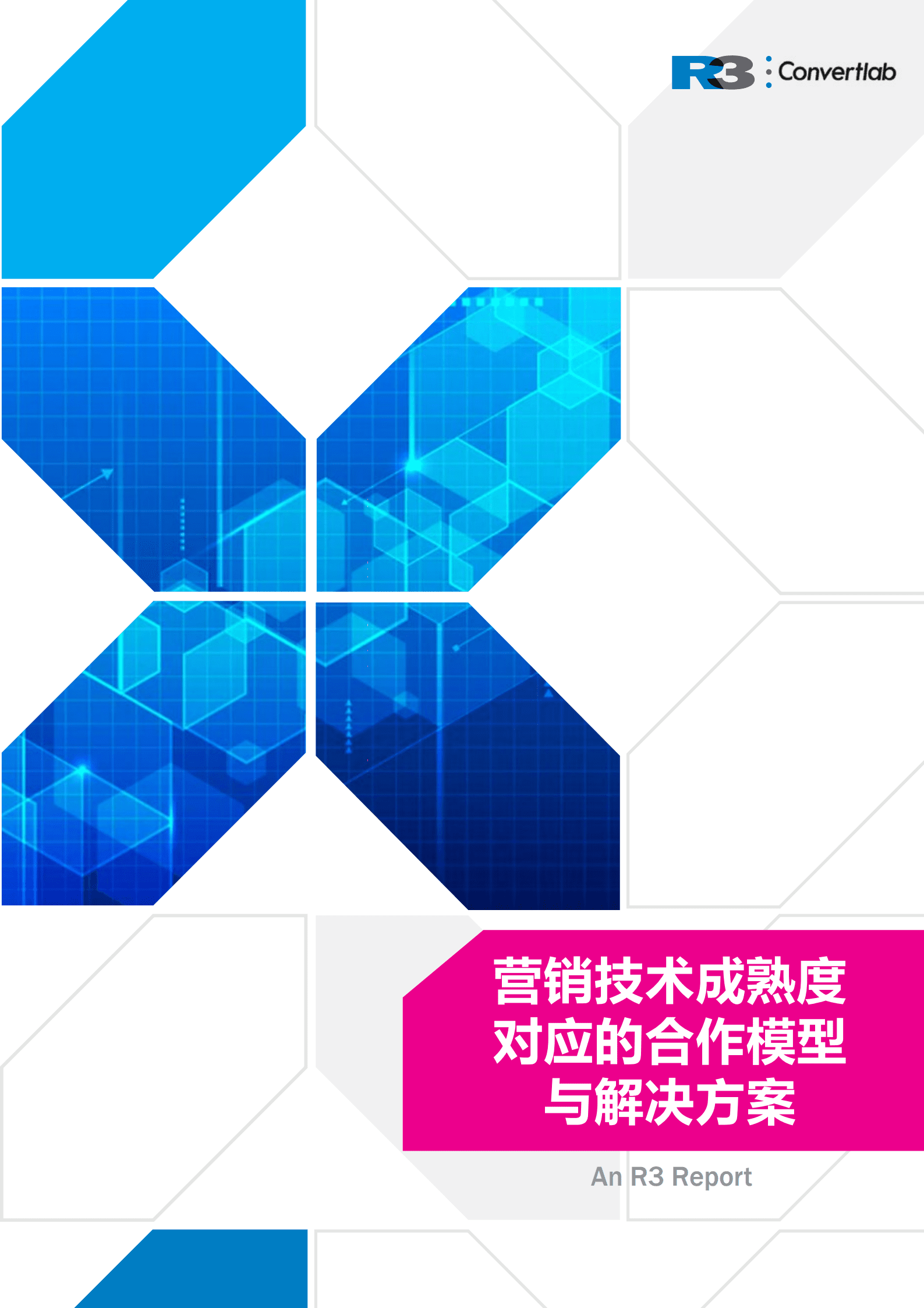 R3：营销技术成熟度对应的合作模型与解决方案（2022）.pdf 第1页
