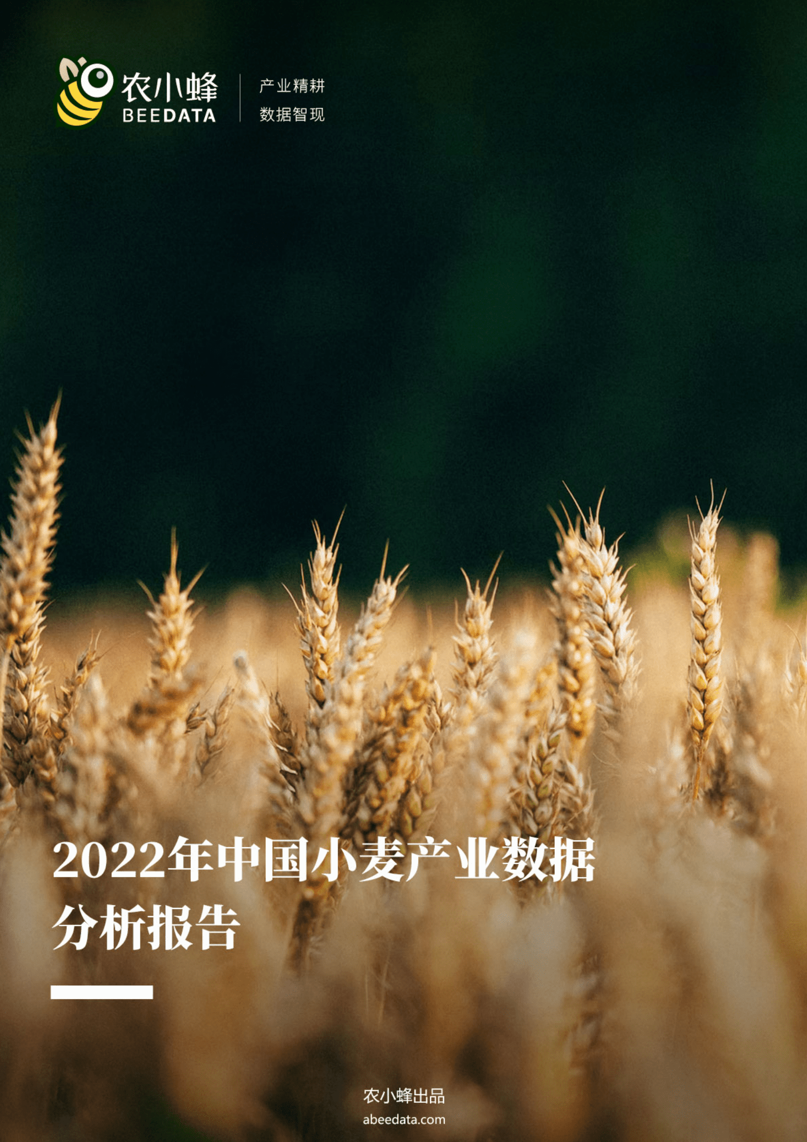 农小蜂：2022年中国小麦产业数据分析报告.pdf 第1页