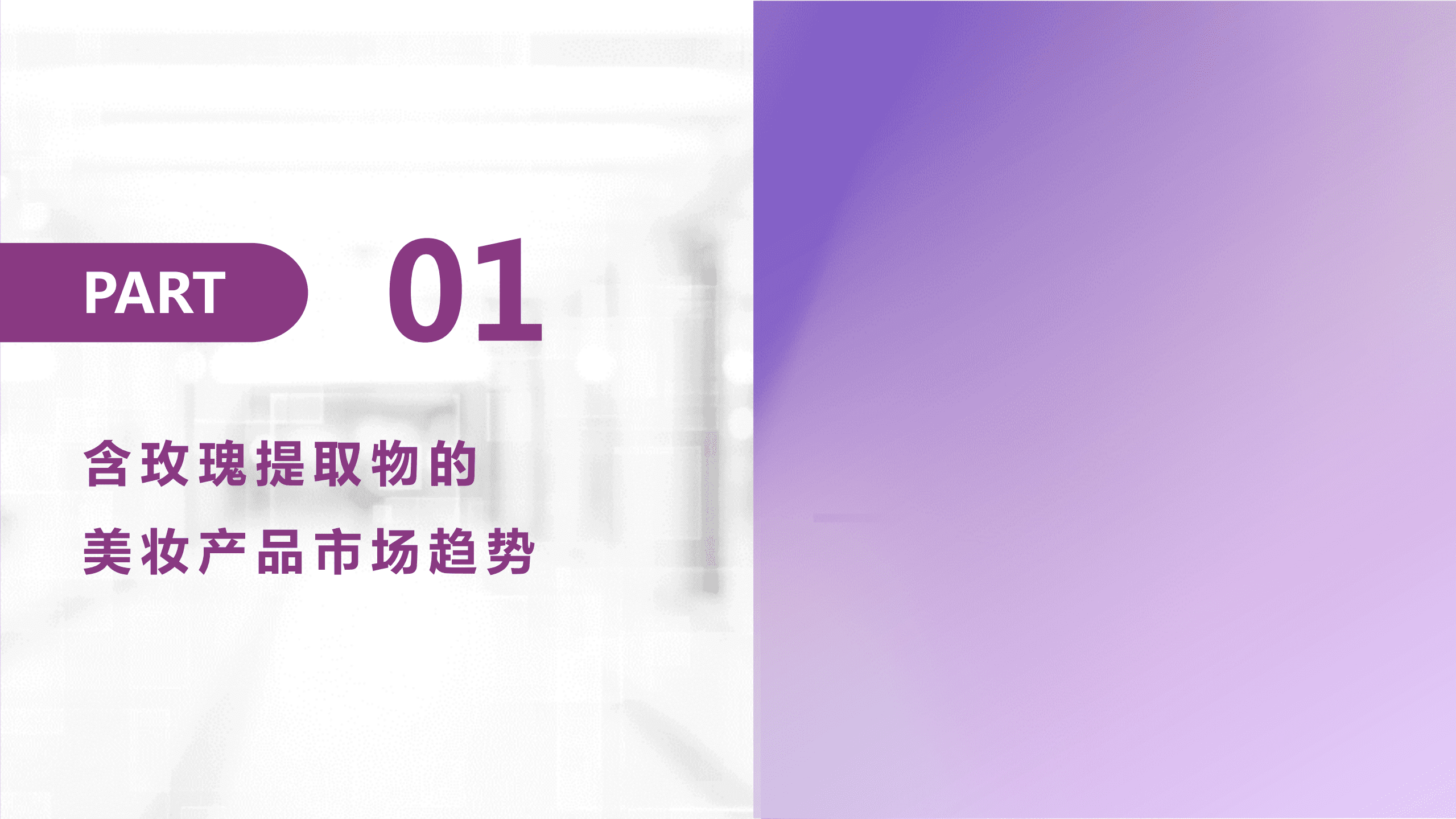 言安堂：2022年玫瑰提取物市场趋势分析和消费者洞察报告.pdf 第3页