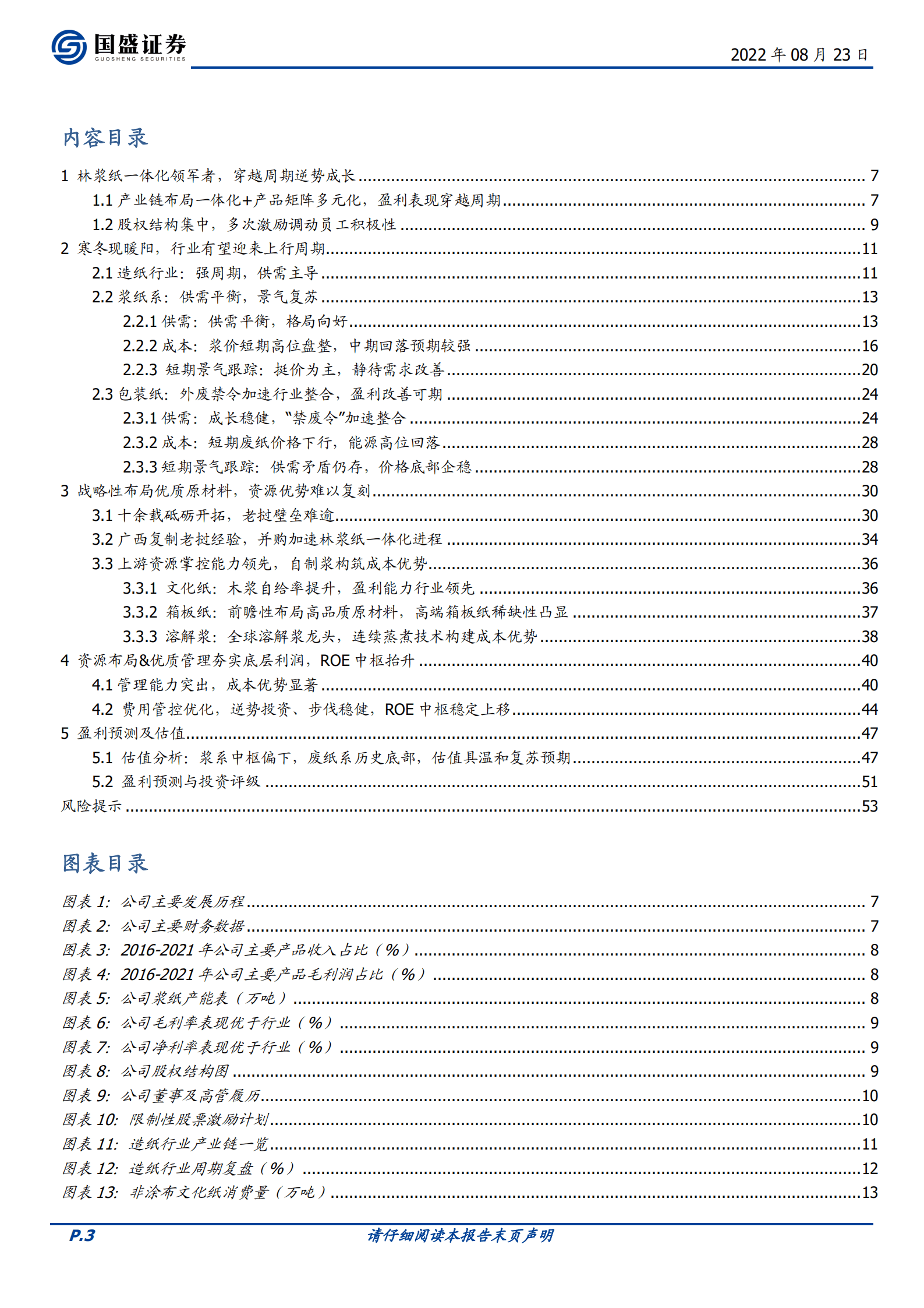 太阳纸业-底层利润铸盾，林浆纸一体扩张造矛-220823.pdf 第3页