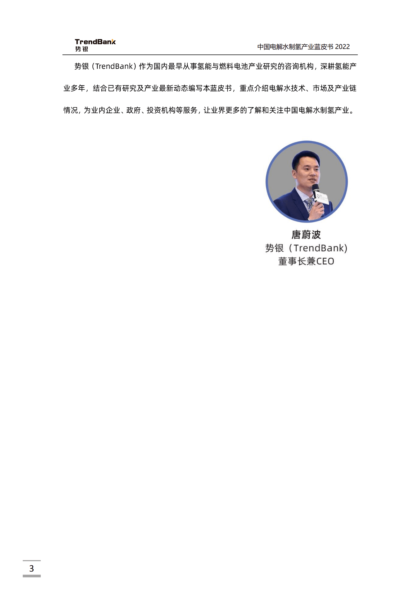 势银：2022中国电解水制氢产业蓝皮书.pdf 第3页