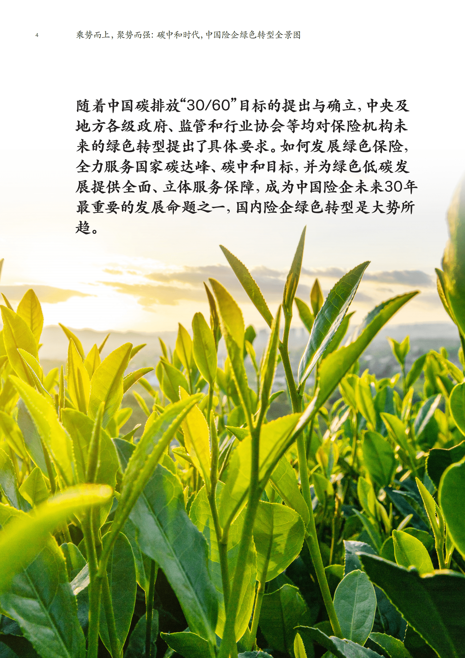 麦肯锡：碳中和时代中国险企绿色转型全景图（2022）.pdf 第6页