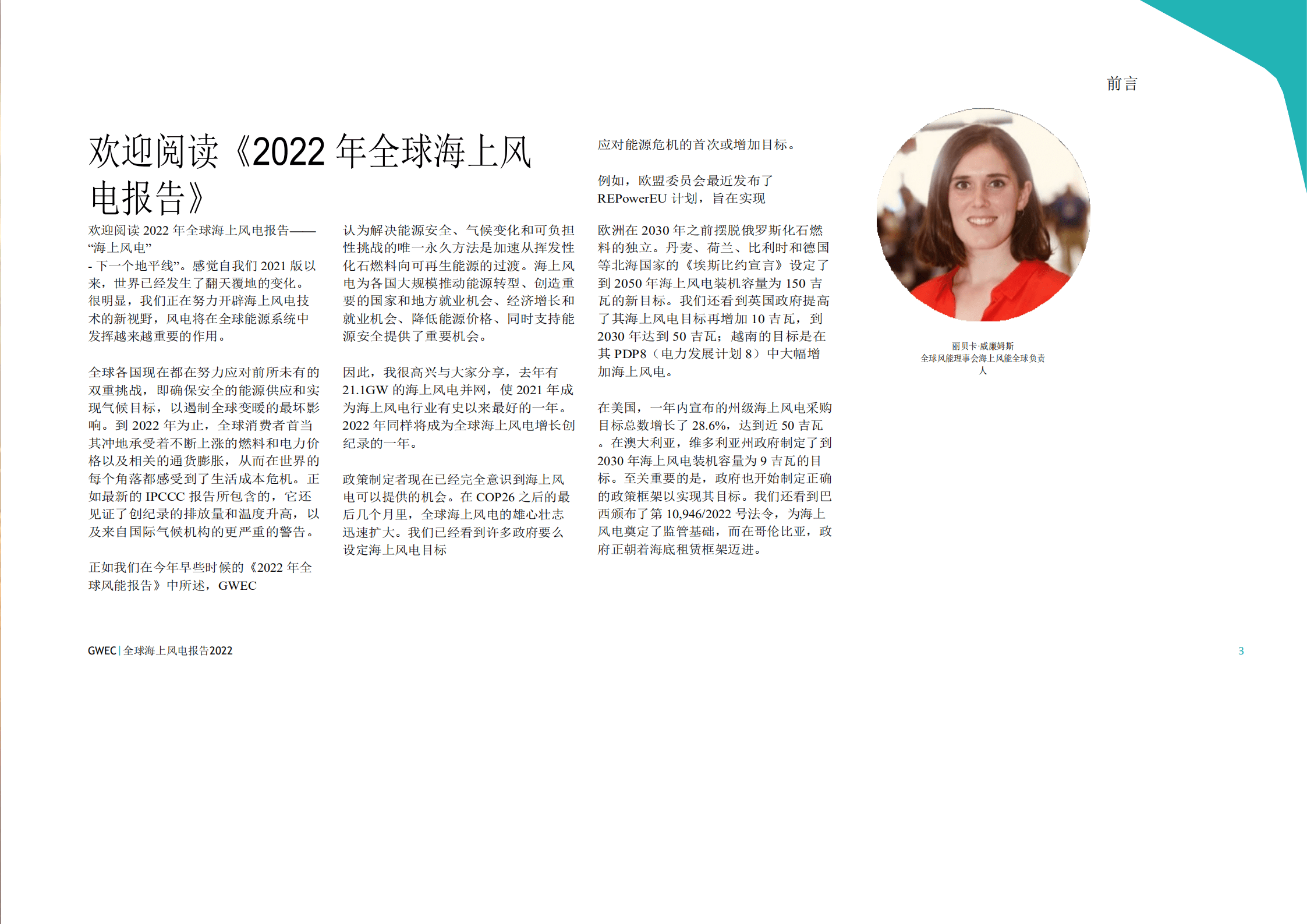 全球风能理事会：2022年全球海上风电报告.pdf 第5页