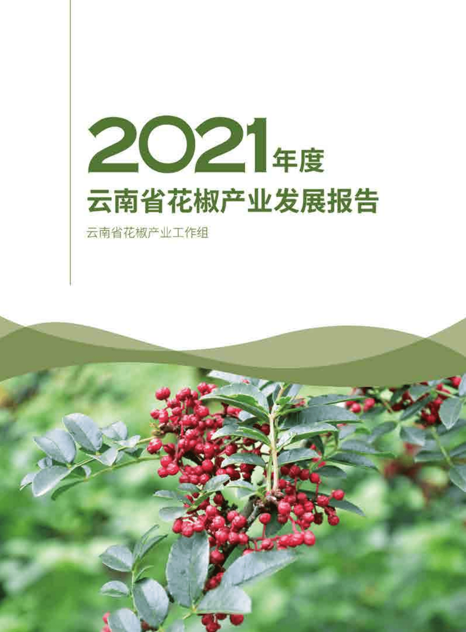 云南省农业农村厅：2021年度云南省花椒产业发展报告.pdf 第1页