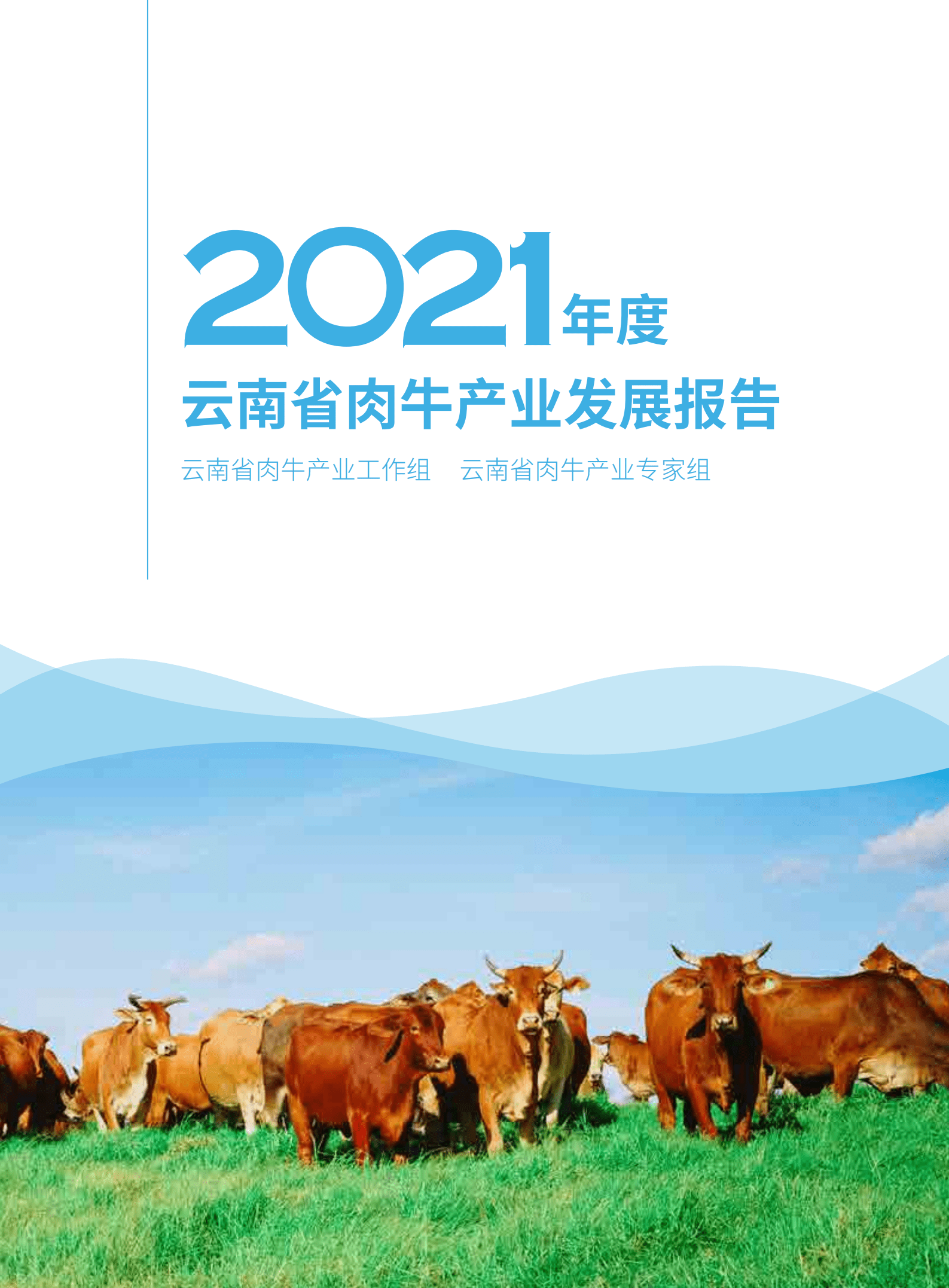云南省农业农村厅：2021年度云南省肉牛产业发展报告.pdf 第1页