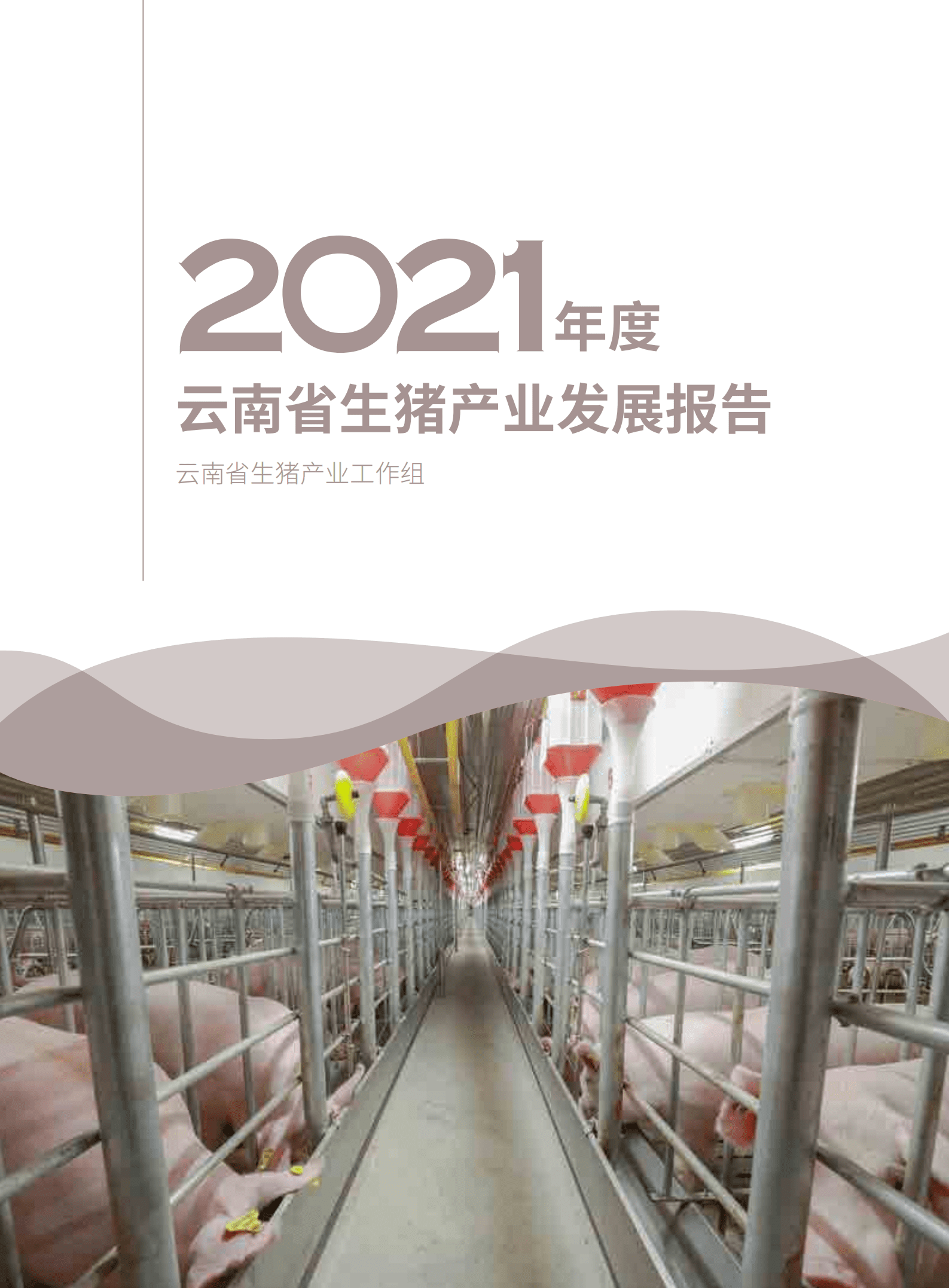 云南省农业农村厅：2021年度云南省生猪产业发展报告.pdf 第1页