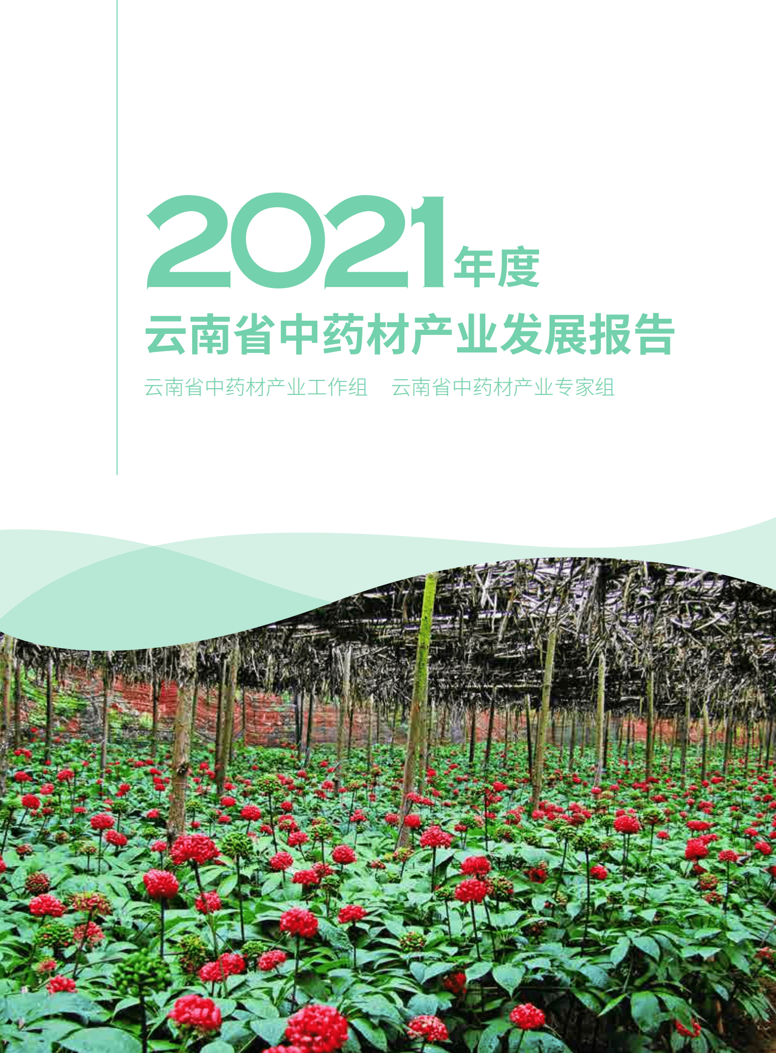 云南省农业农村厅：2021年度云南省中药材产业发展报告.pdf 第1页