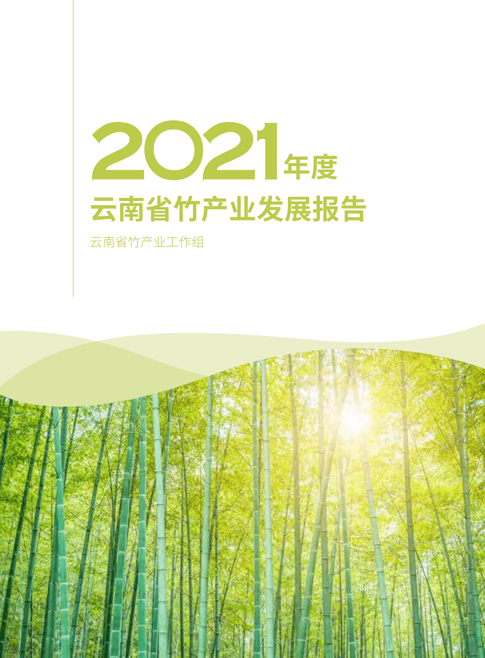 云南省农业农村厅：2021年度云南省竹产业发展报告.pdf 第1页