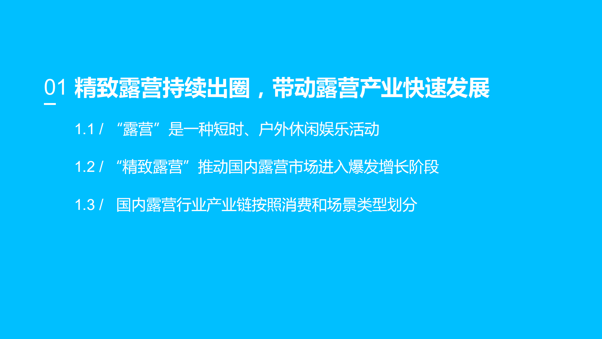 2022年精致露营行业分析报告.pdf 第2页