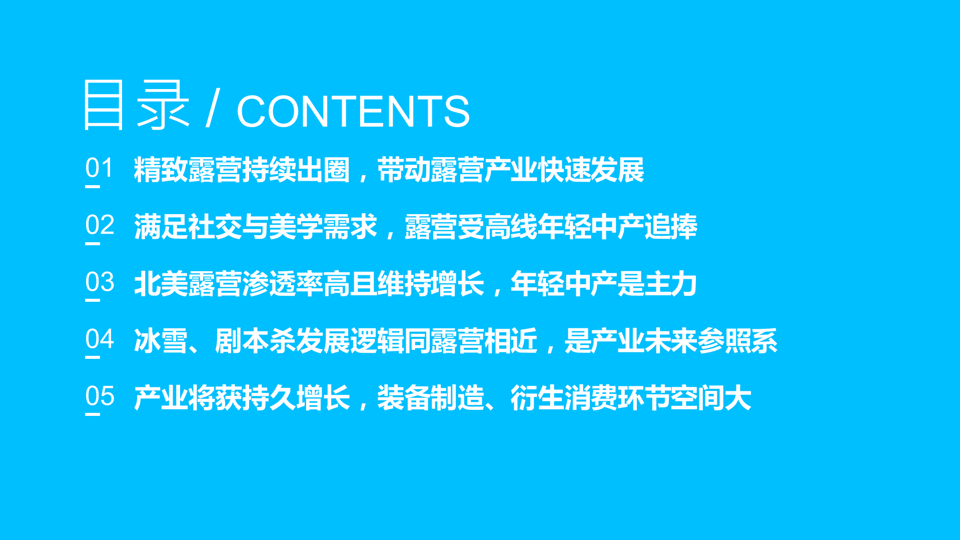 2022年精致露营行业分析报告.pdf 第1页