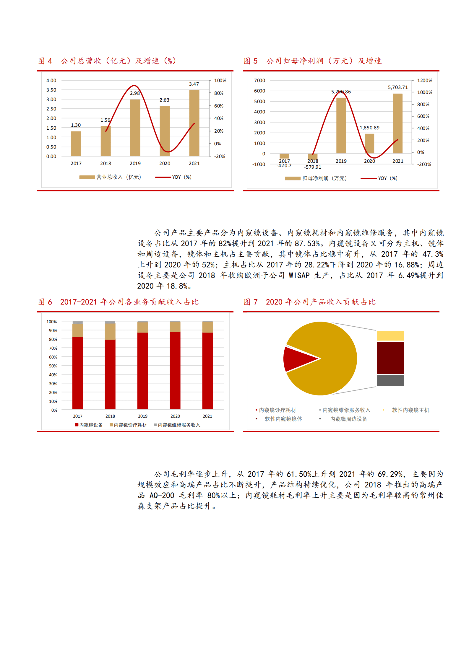 2022年软镜市场分析及澳华内镜产品布局研究报告.pdf 第6页