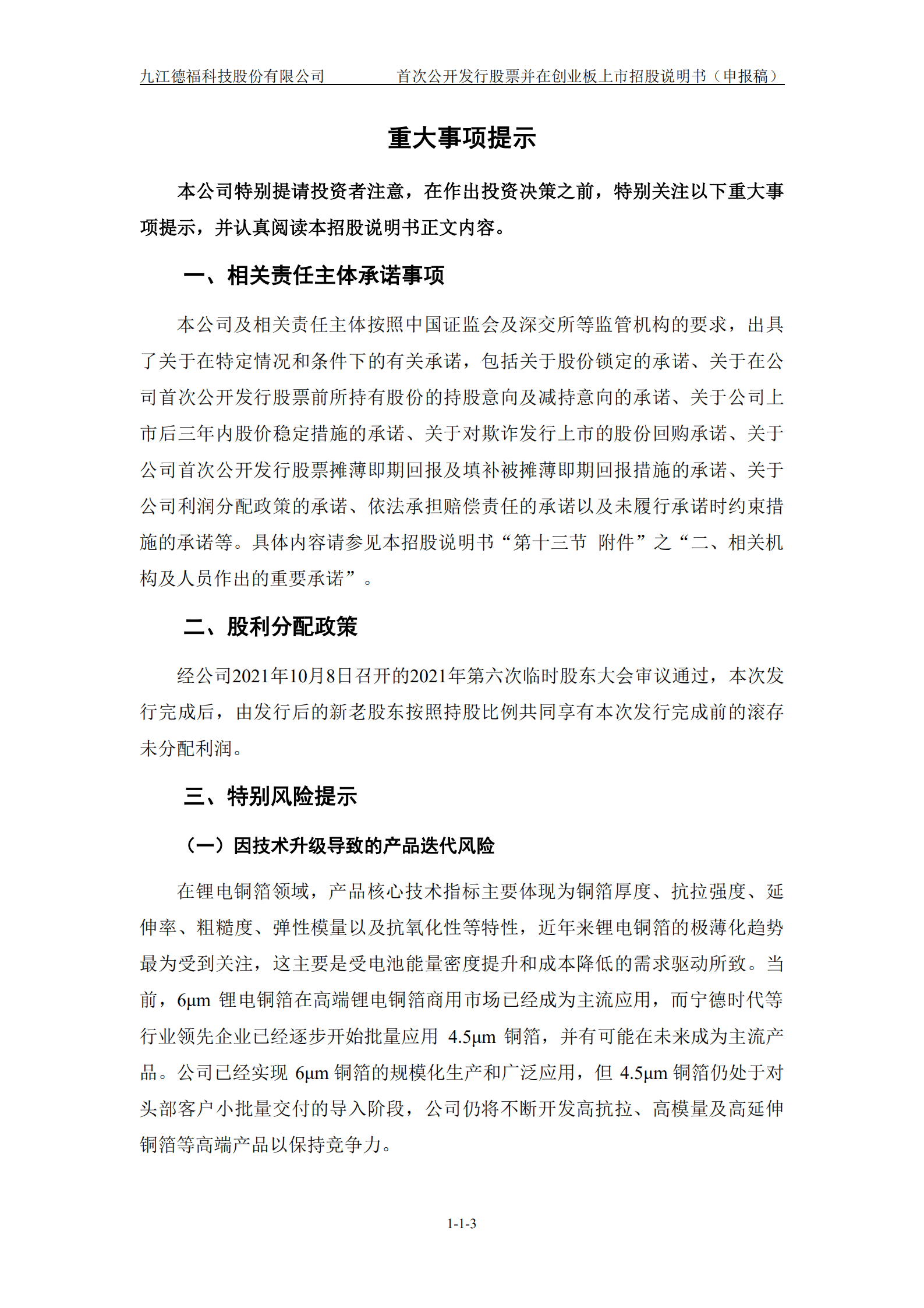 九江德福科技股份有限公司招股说明书.pdf 第4页