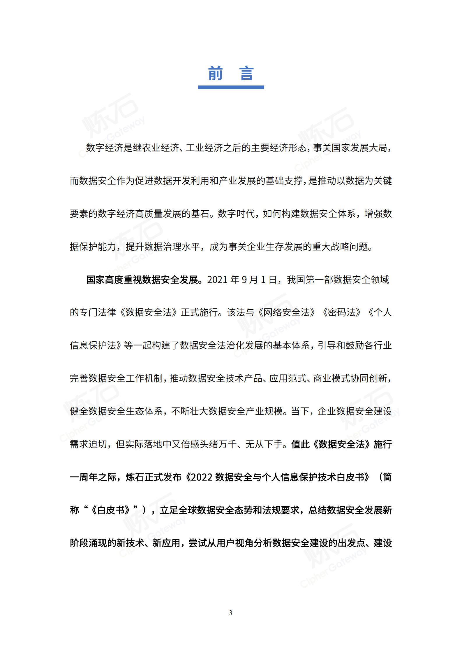 炼石：2022数据安全与个人信息保护技术白皮书.pdf 第3页