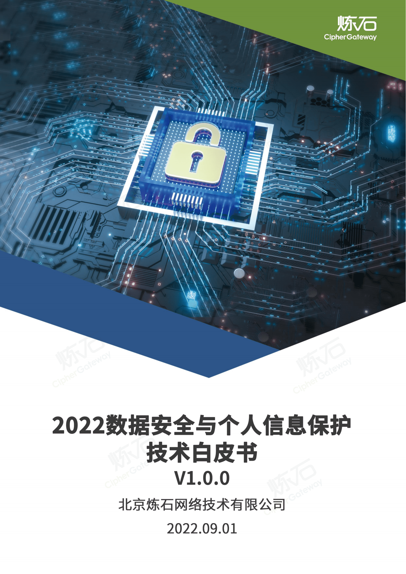 炼石：2022数据安全与个人信息保护技术白皮书.pdf 第1页