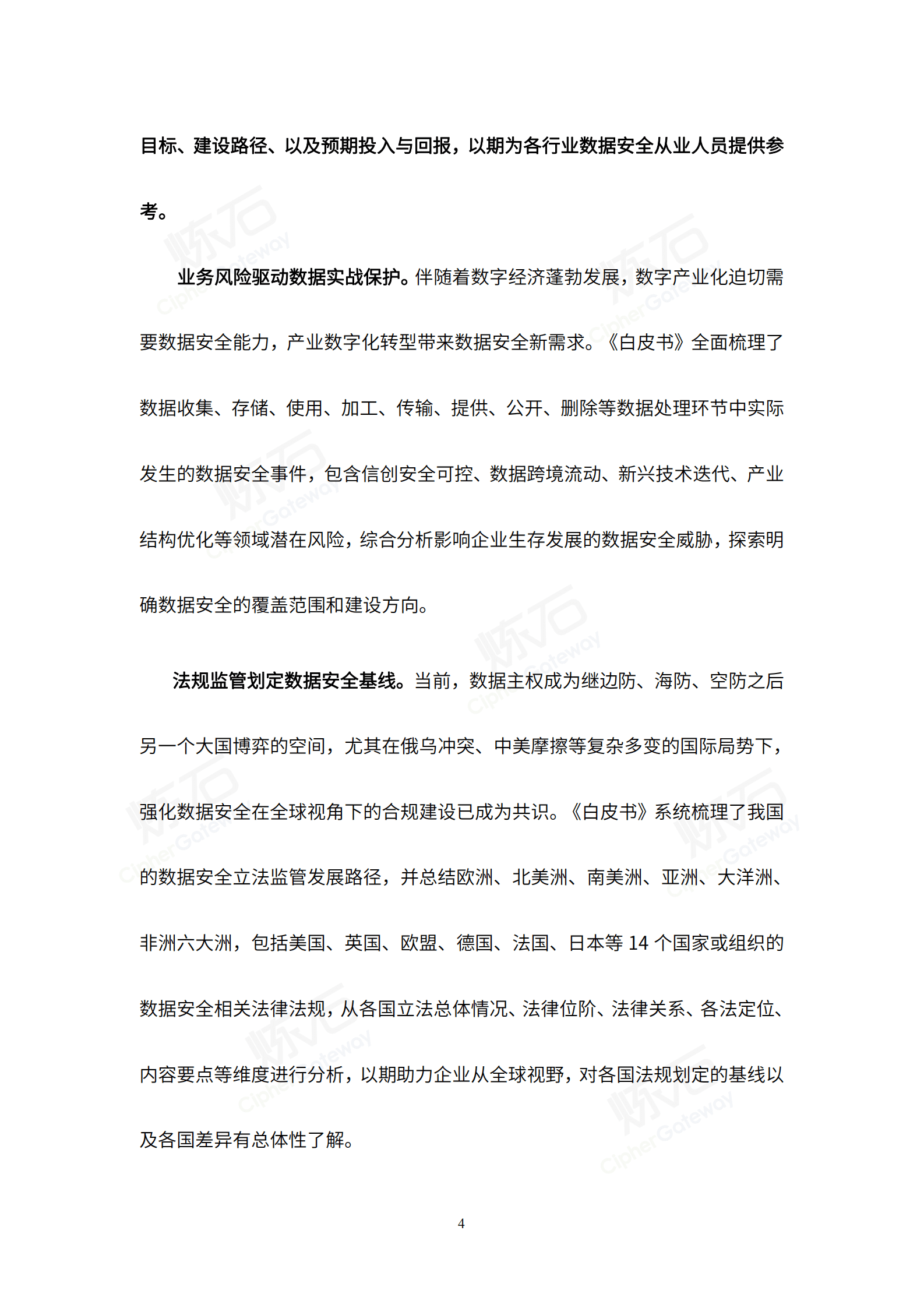 炼石：2022数据安全与个人信息保护技术白皮书.pdf 第4页