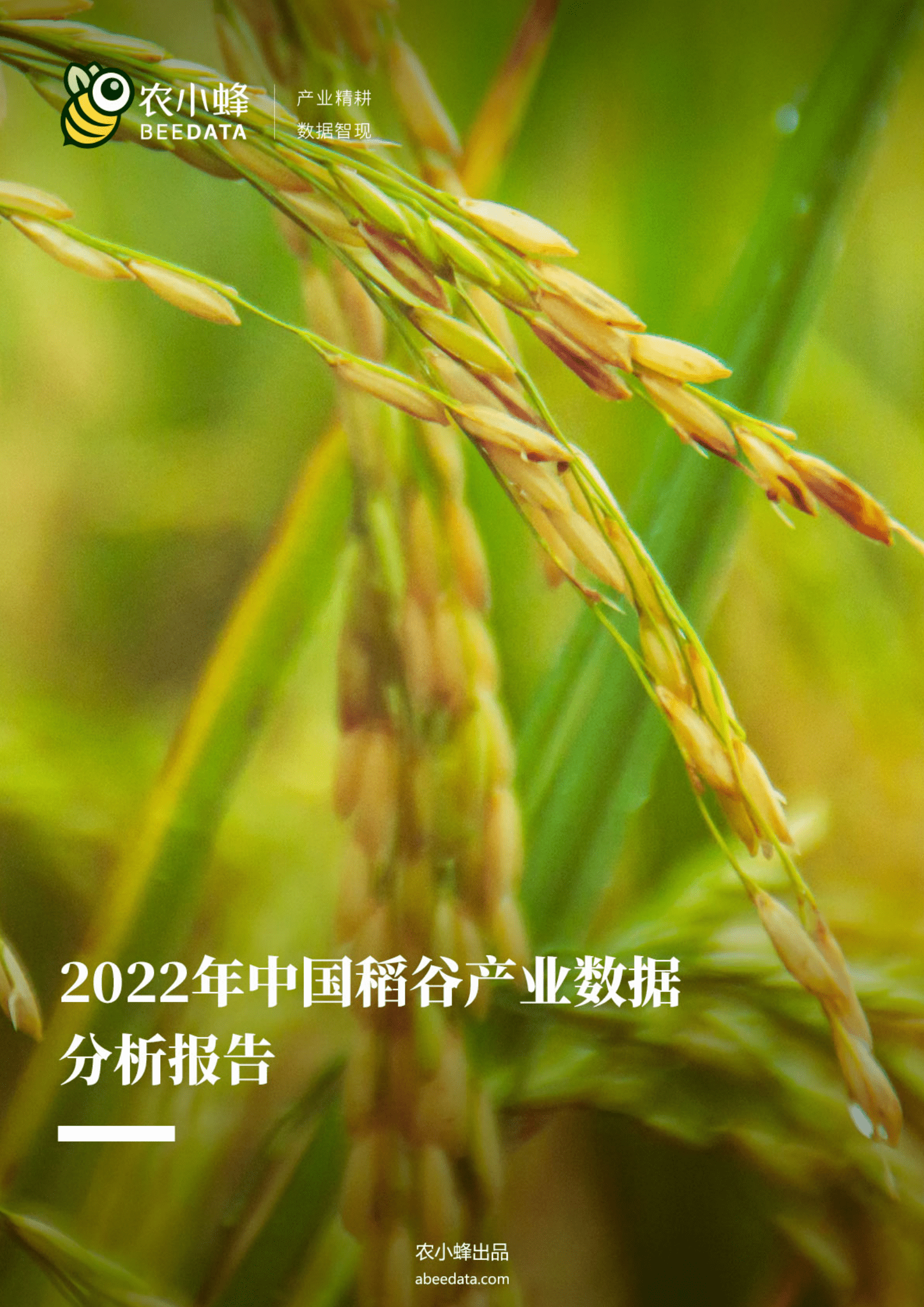 农小蜂：2022年中国稻谷产业数据分析报告.pdf 第1页