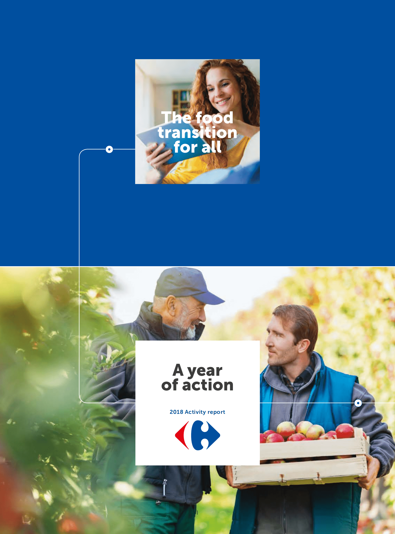 家乐福（CARREFOUR）2018年年度报告（英文版）.pdf 第1页
