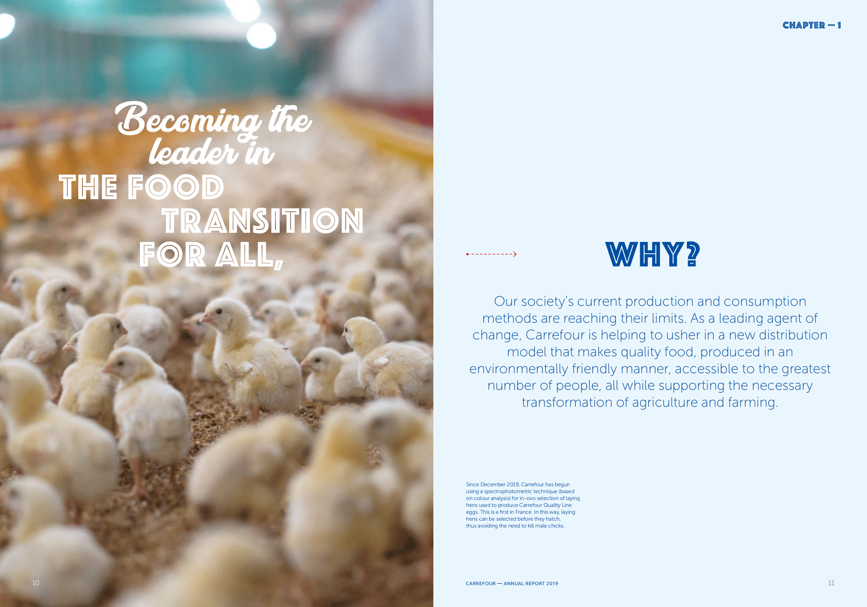 家乐福（CARREFOUR）2019年年度报告（英文版）.pdf 第6页